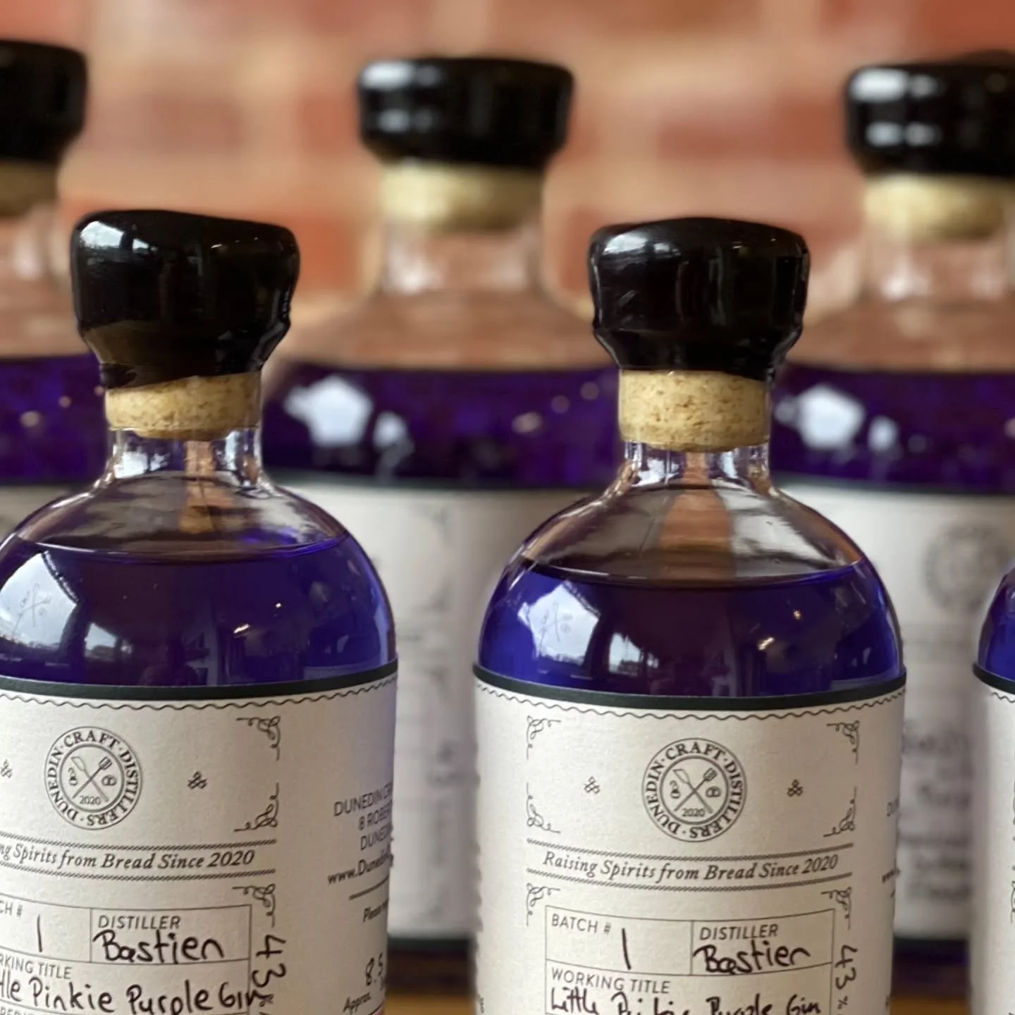 Keep an eye out for a special release tomorrow celebrating World Polio Day ππ₯