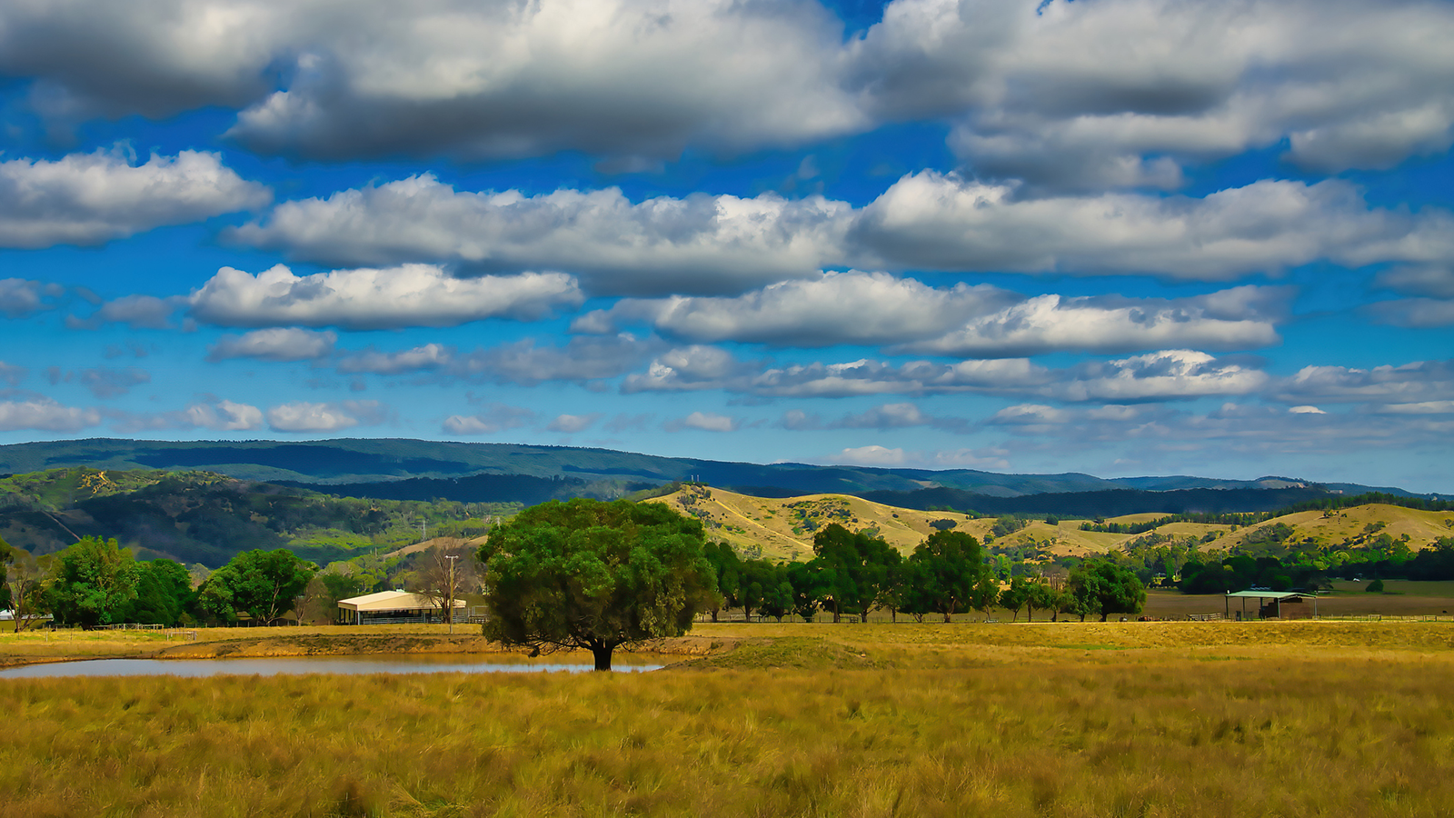 Brunswick South gold-antimony discovery reframes Costerfield's underground future