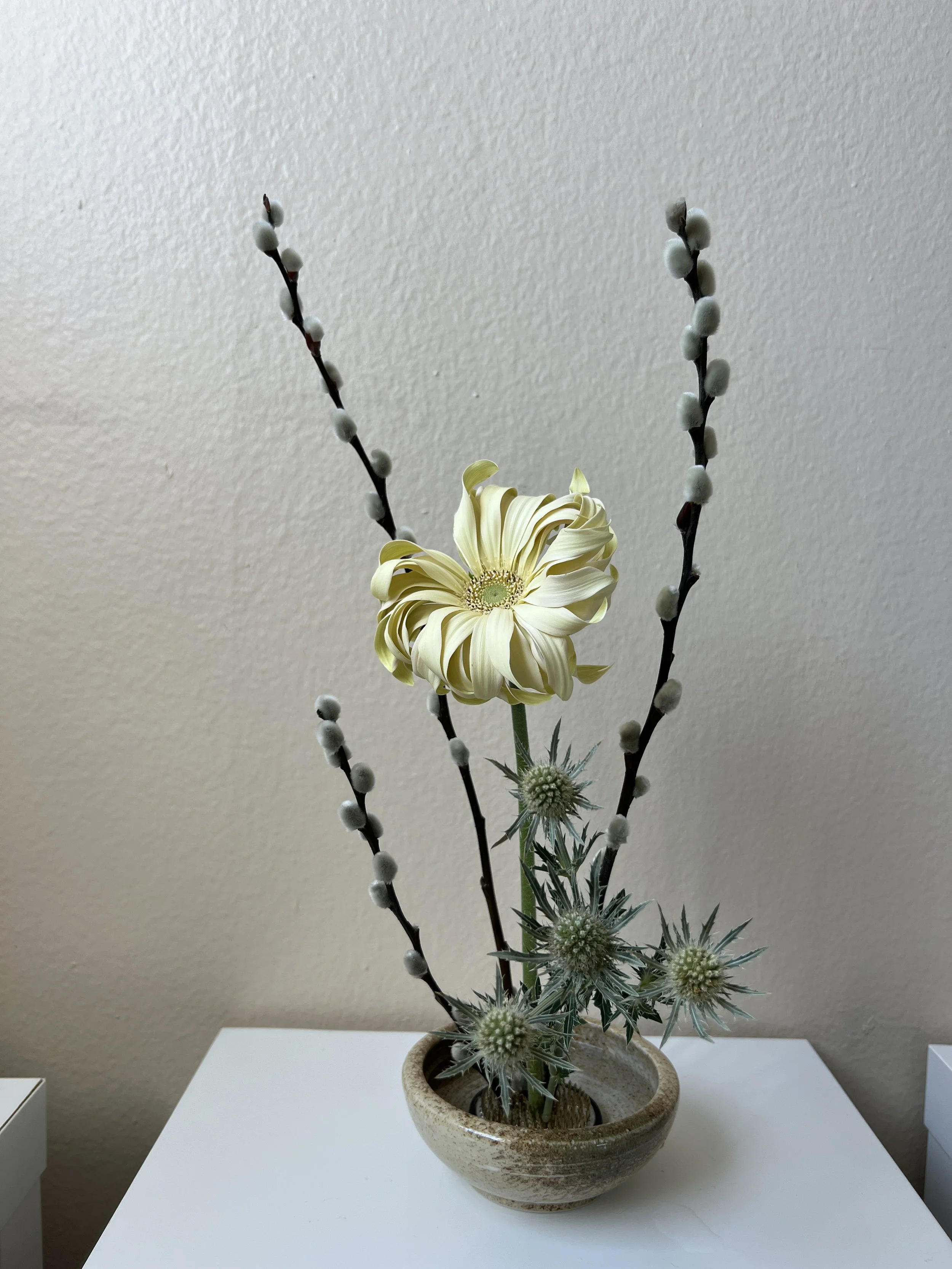 Gift of Tiger Blossom Online — 1 Class + Tools