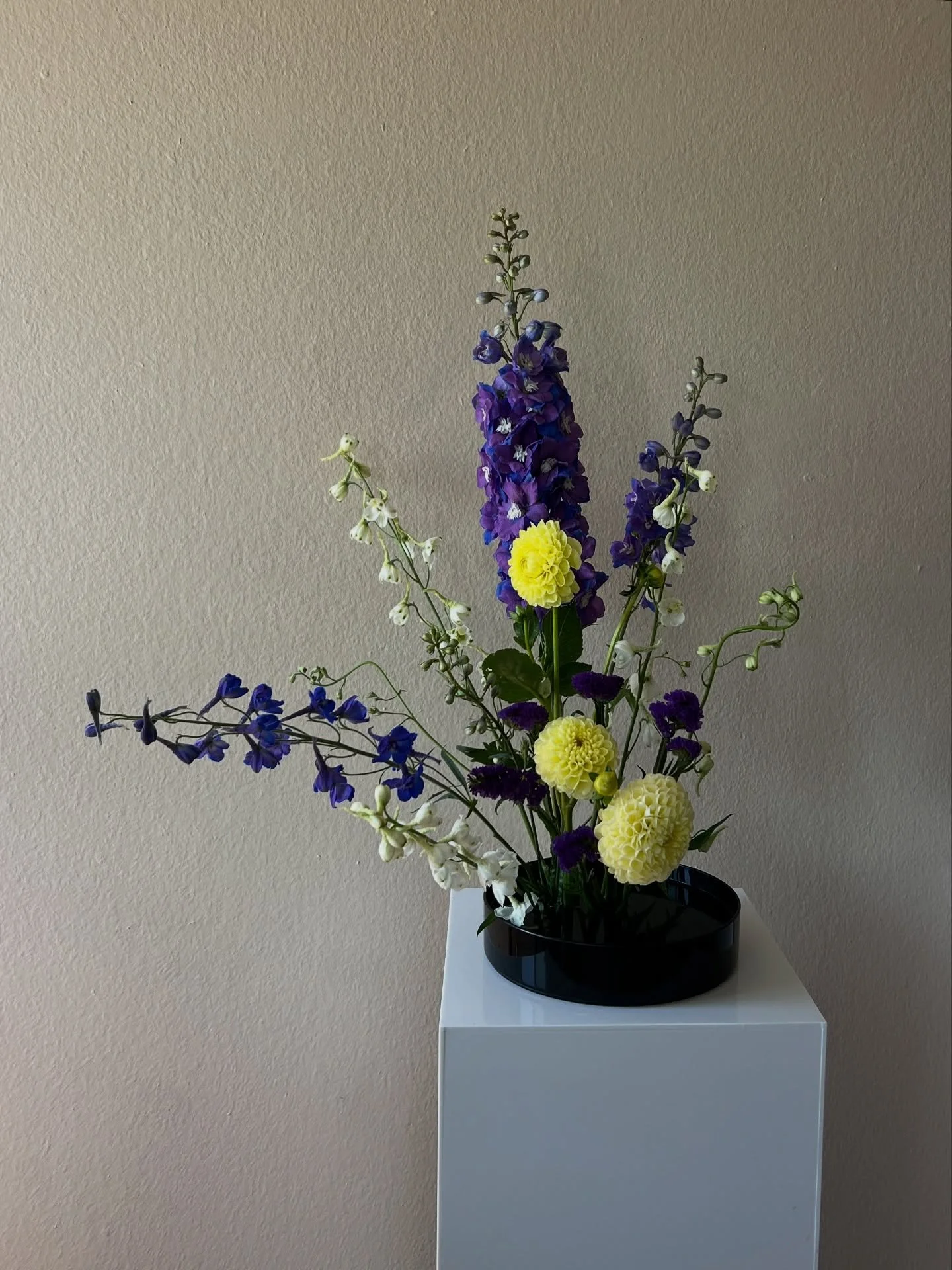 Playing and my personal Tiger Blossom practice. Her name is &ldquo;Transition&rdquo;. 

See the making of this arrangement on the new YouTube video.