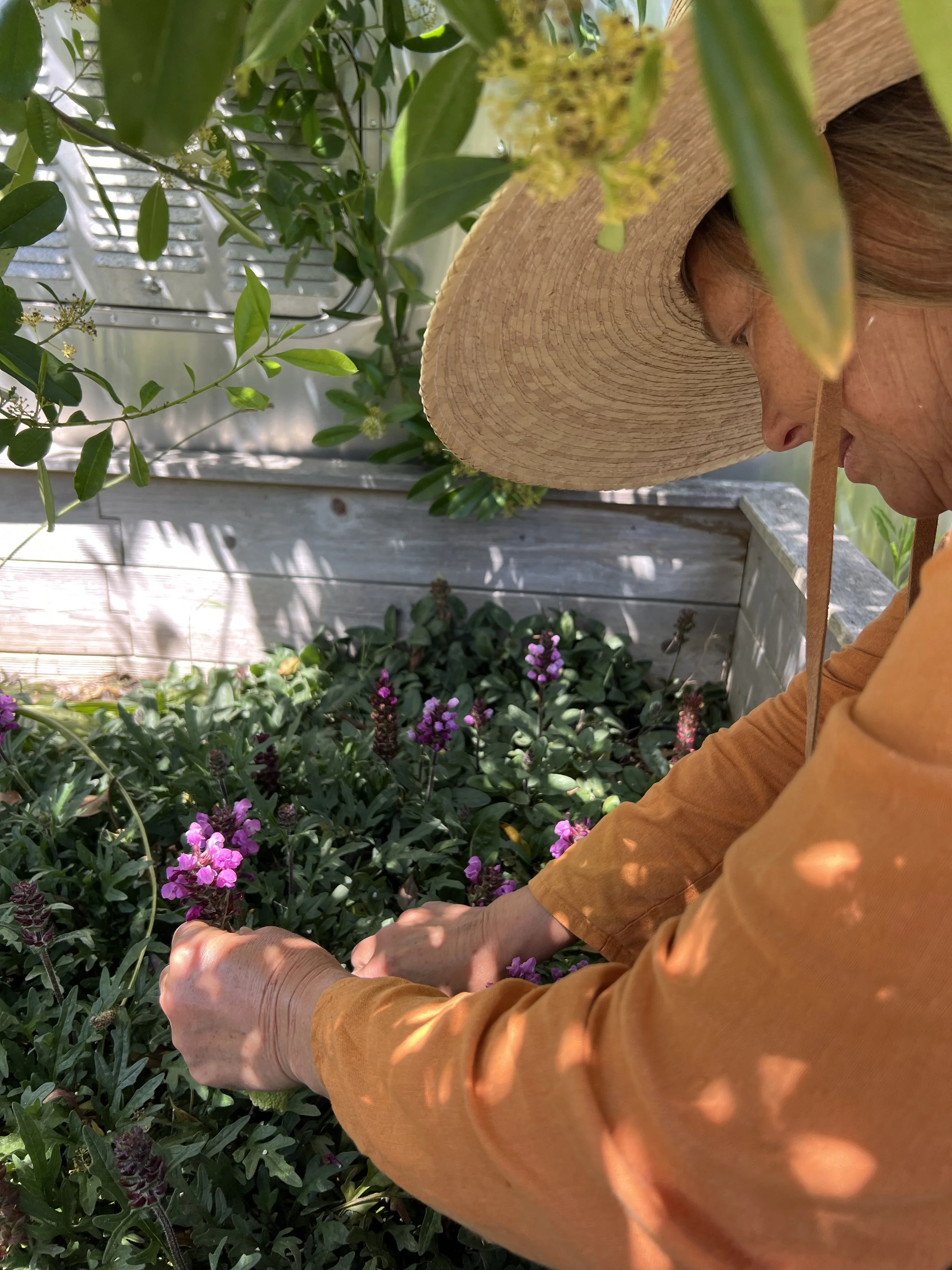 INTERVIEW: LINDA GIBBS