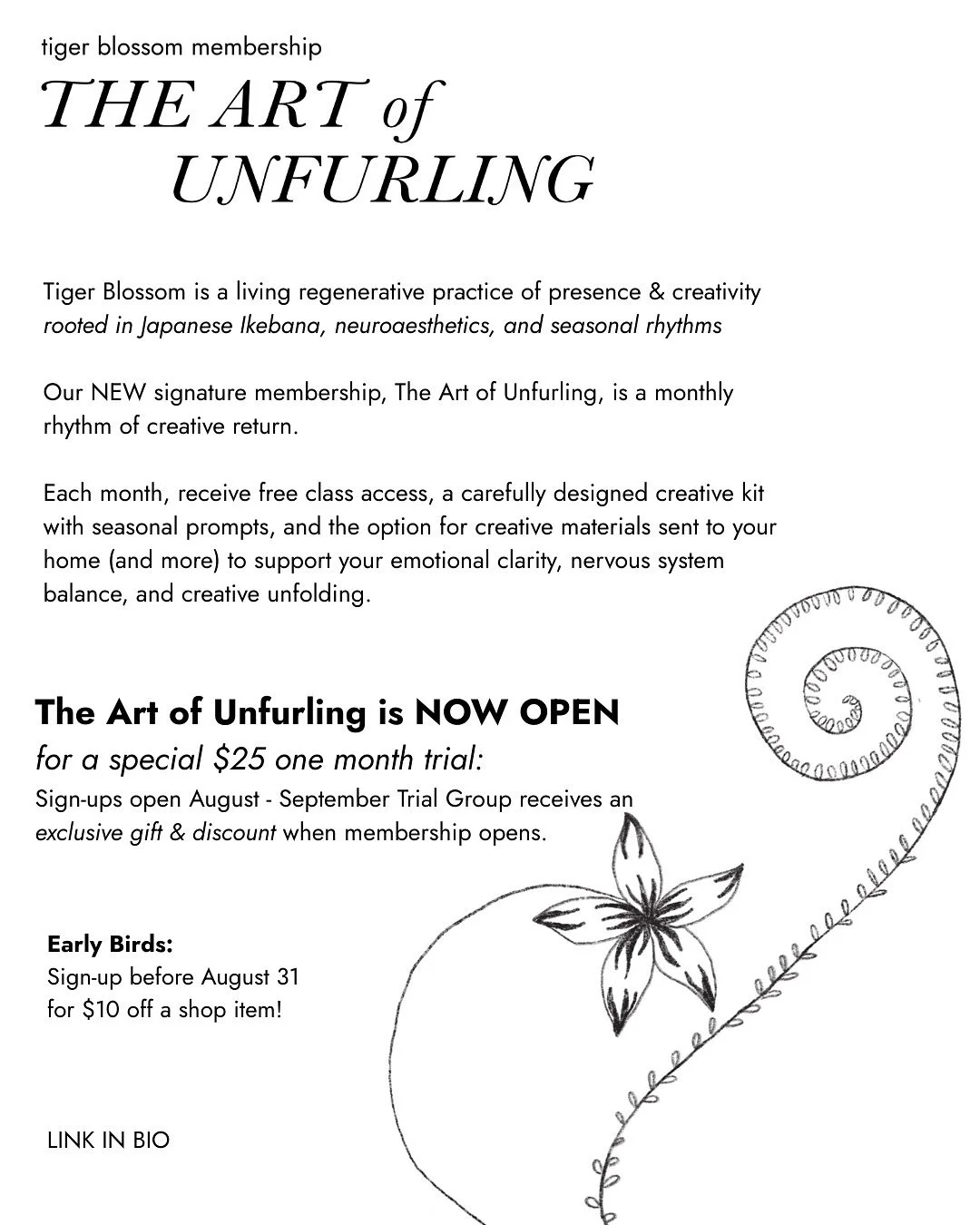 Get a taste of the coming Membership Program &ldquo;The Art of Unfurling&rdquo; and exclusive early access to the Tiger Blossom Shop! 

Link in bio 🌱