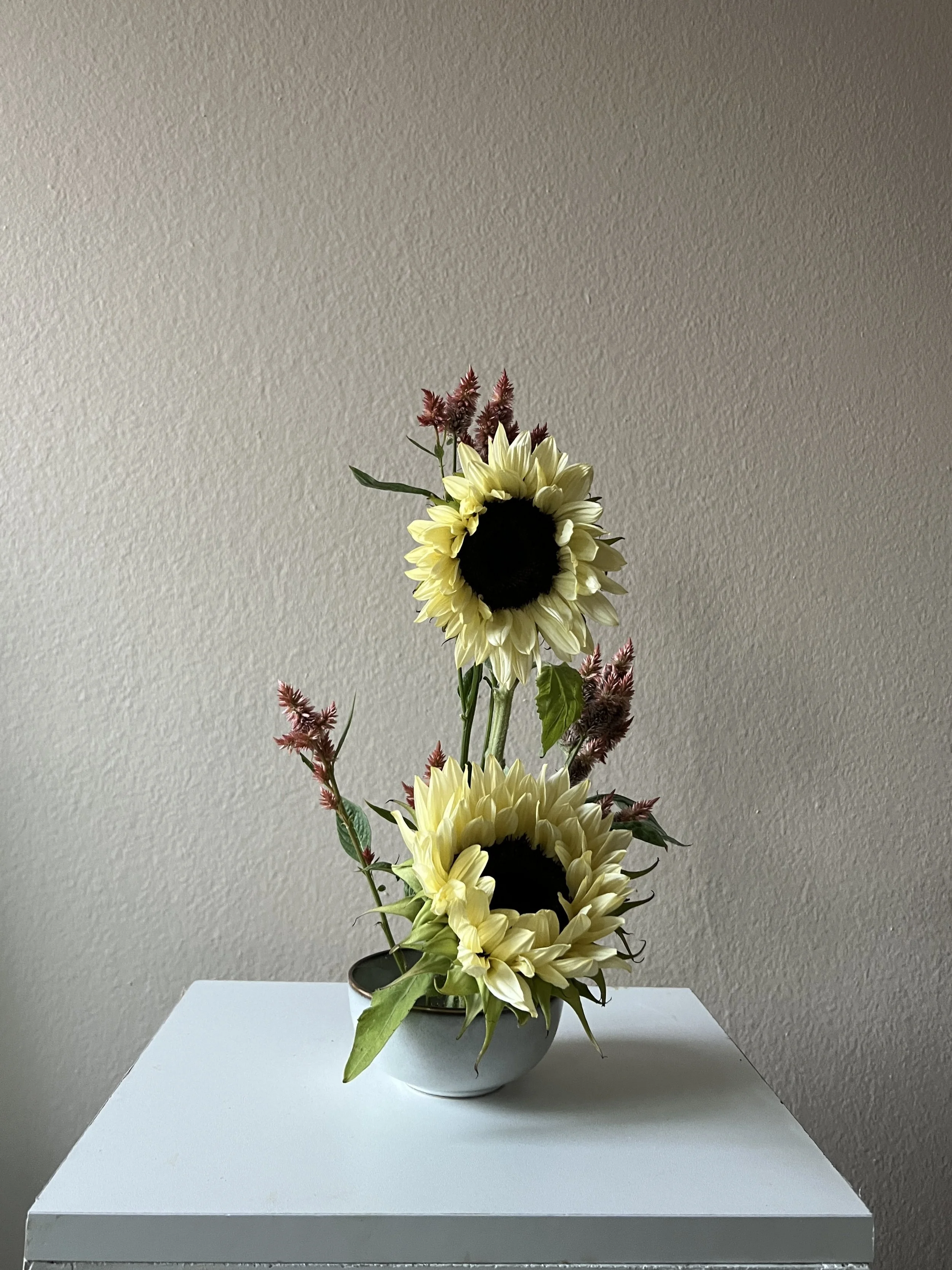 IMG_0834.jpeg