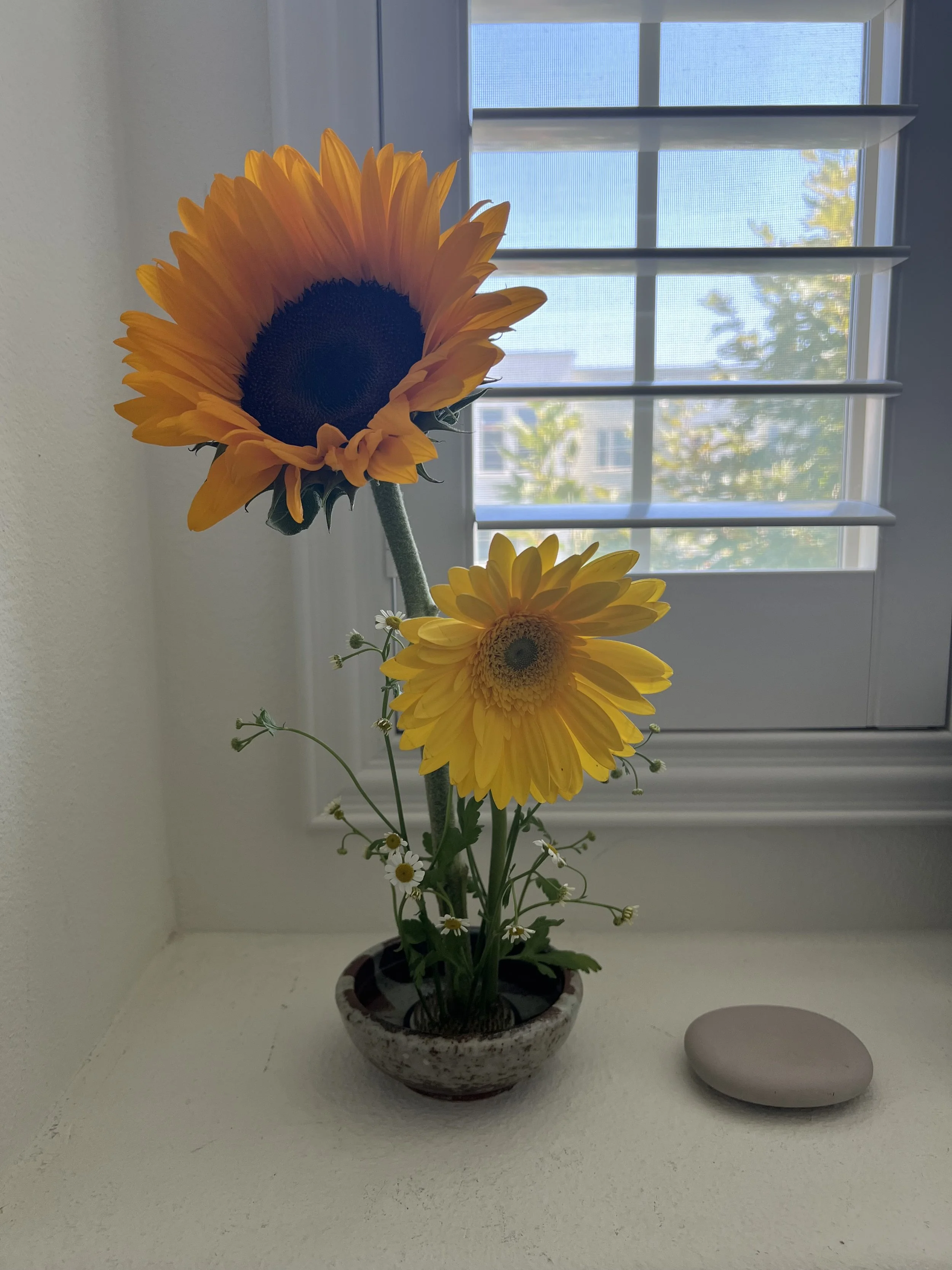 IMG_8538.jpeg
