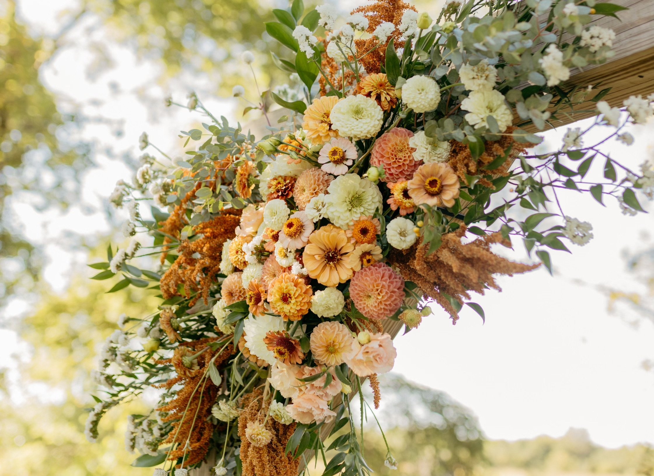 Untitled design.jpeg