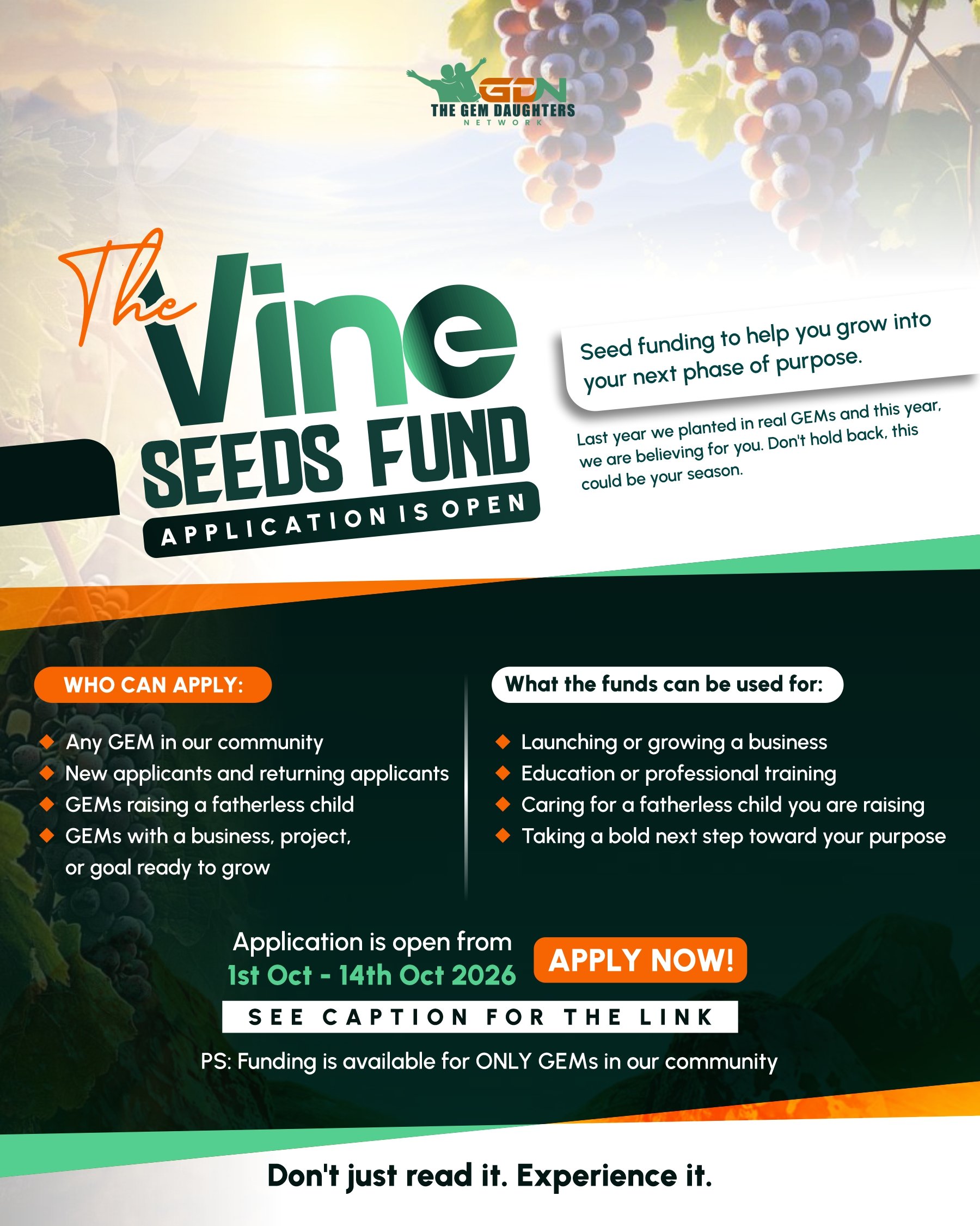 The Vine Seeds Funds 2026