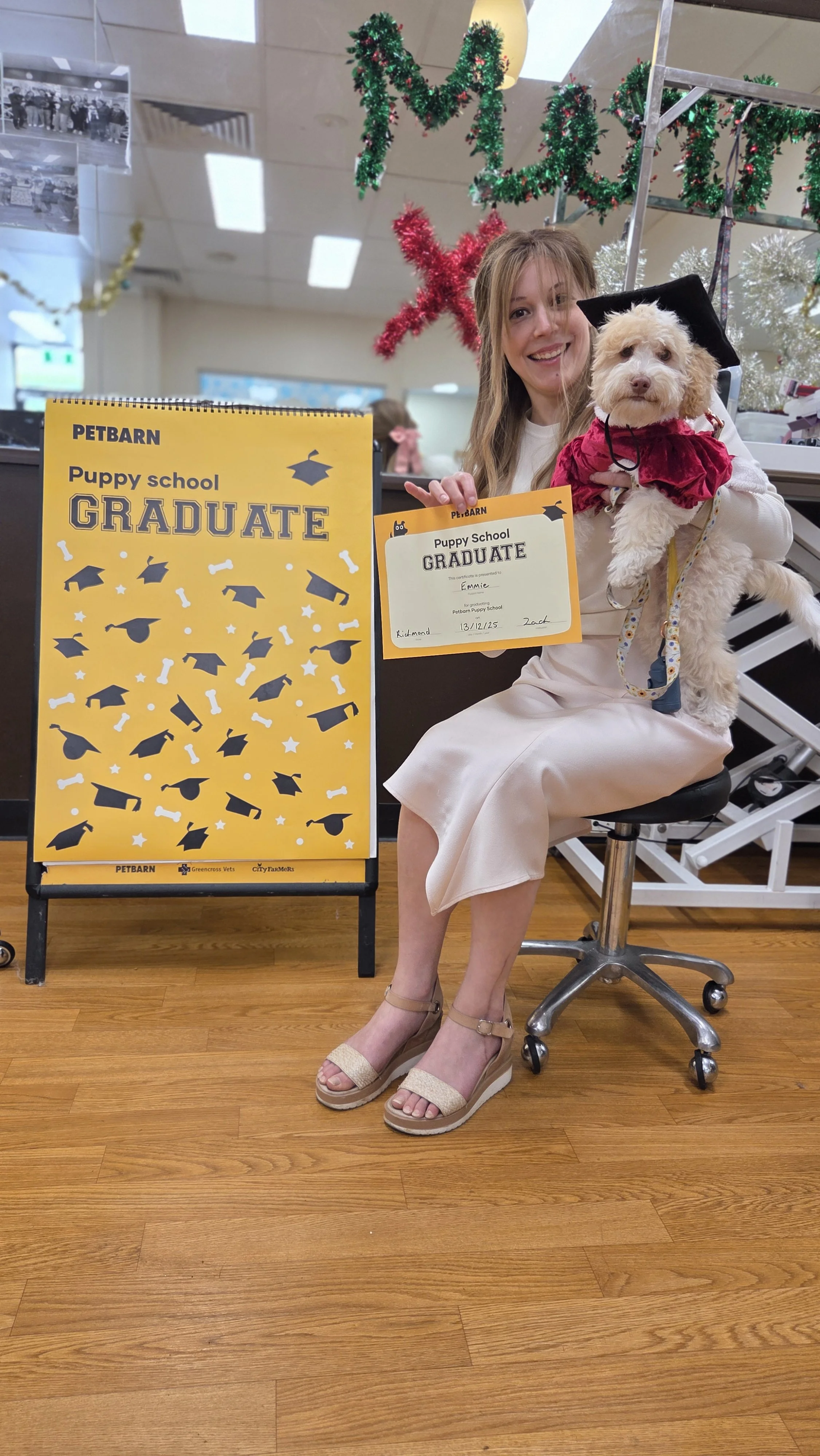 A woman sitting on a rolling chair holding a small dog dressed in a red outfit with a black graduation cap. The woman is smiling, and there is a large yellow sign with black and white graphic designs and the word 'GRADUATE' on it. The setting is decorated with Christmas ornaments hanging from the ceiling.