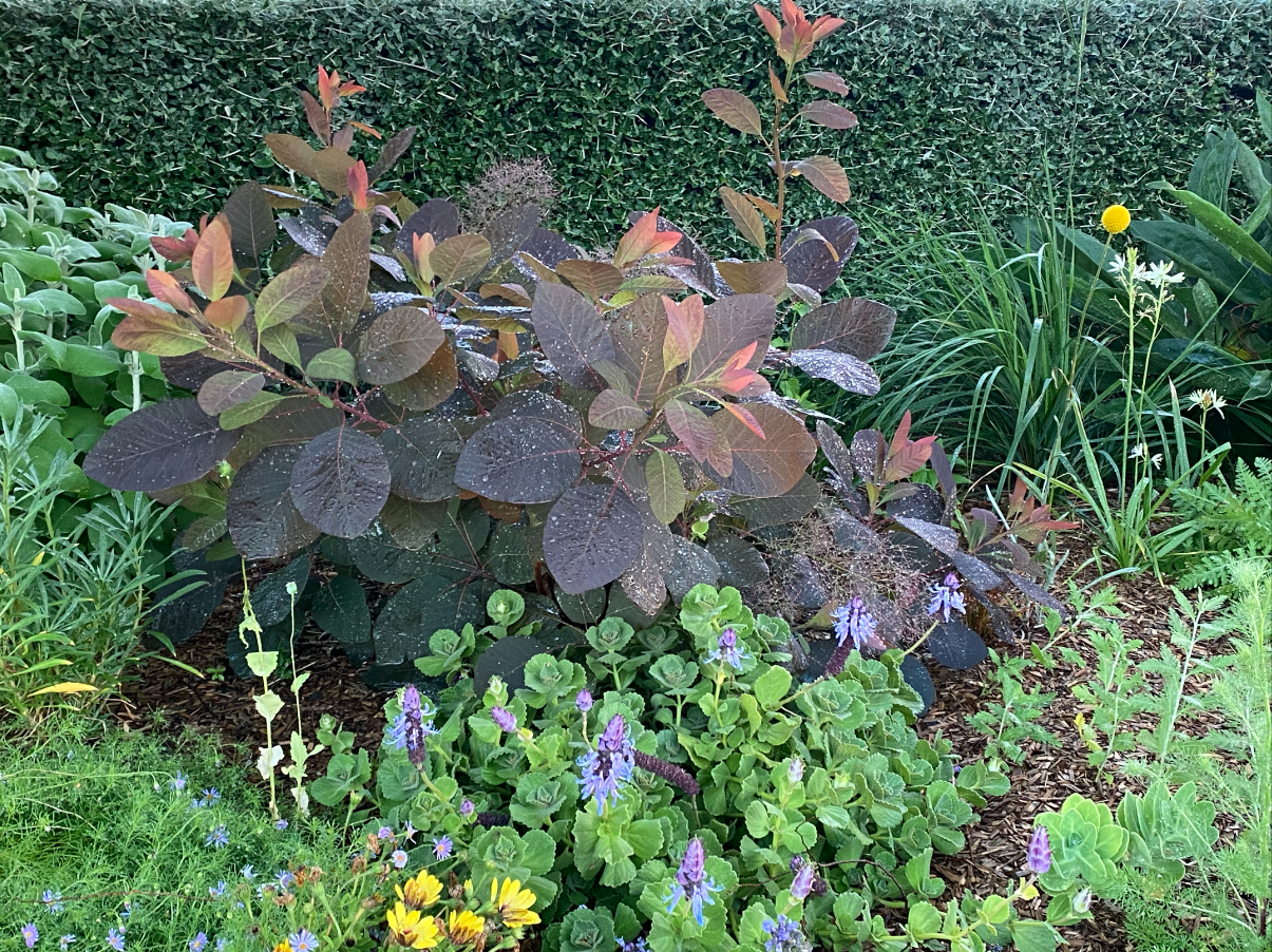 6170075bca08650d41657308_Screen Shot 2021-10-20 at 11.10.23 pm.png