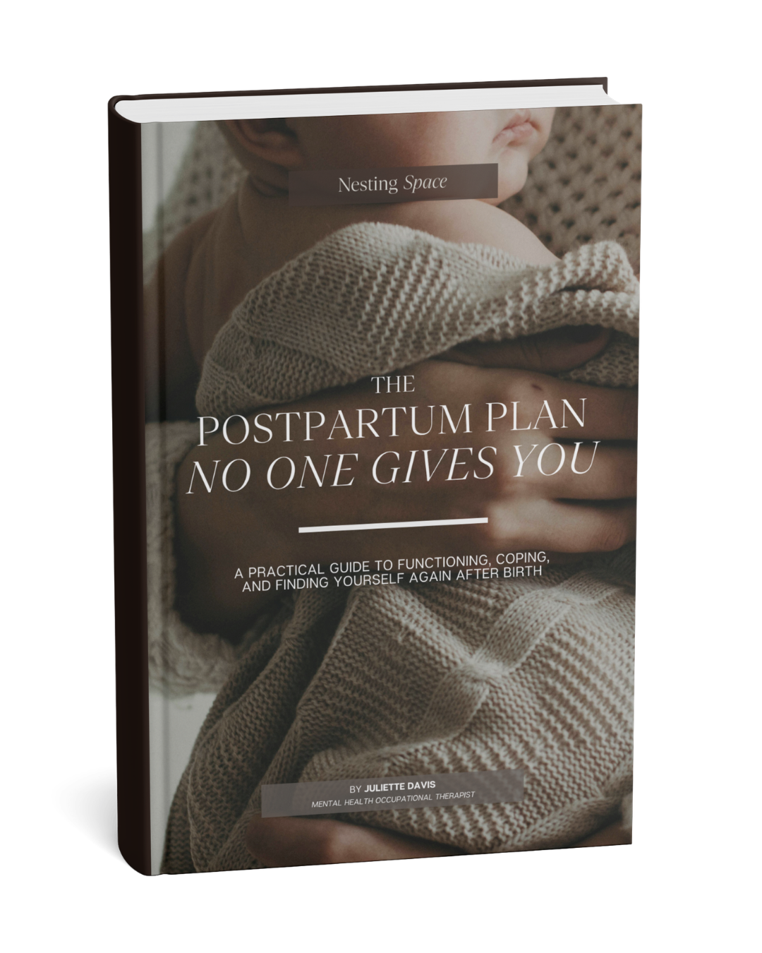Book Mockup (1).png