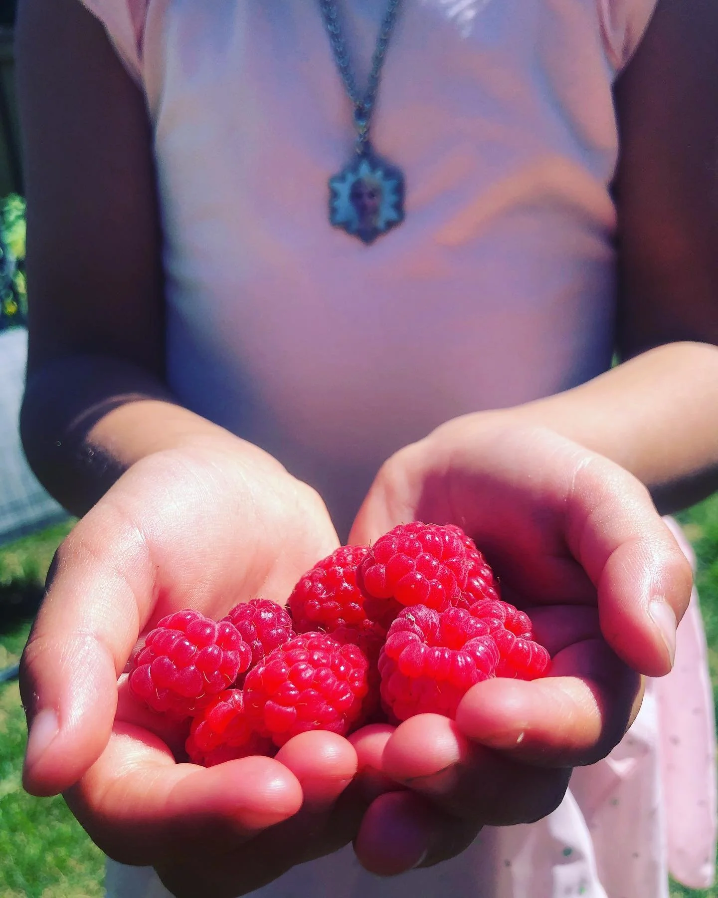 Food is much more than the sum of its parts - it&rsquo;s INFORMATION
&bull;&bull;&bull;&bull;&bull;&bull;&bull;&bull;&bull;&bull;&bull;&bull;&bull;&bull;&bull;&bull;&bull;&bull;&bull;&bull;&bull;&bull;&bull;&bull;&bull;&bull;&bull;&bull;&bull;&bull;&