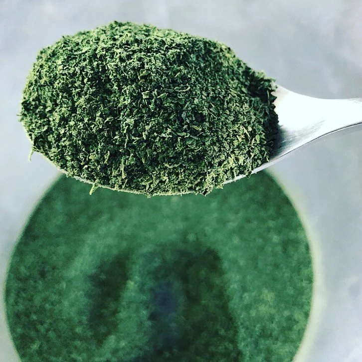 FORAGING MEDICINALS 
STINGING NETTLE
Did you know that NETTLES are a nutrient dense superfood and a perfect remedy for allergy sufferers during hay fever season?
Nettles can also help with joint problems such as arthritis, strengthen the immune syste