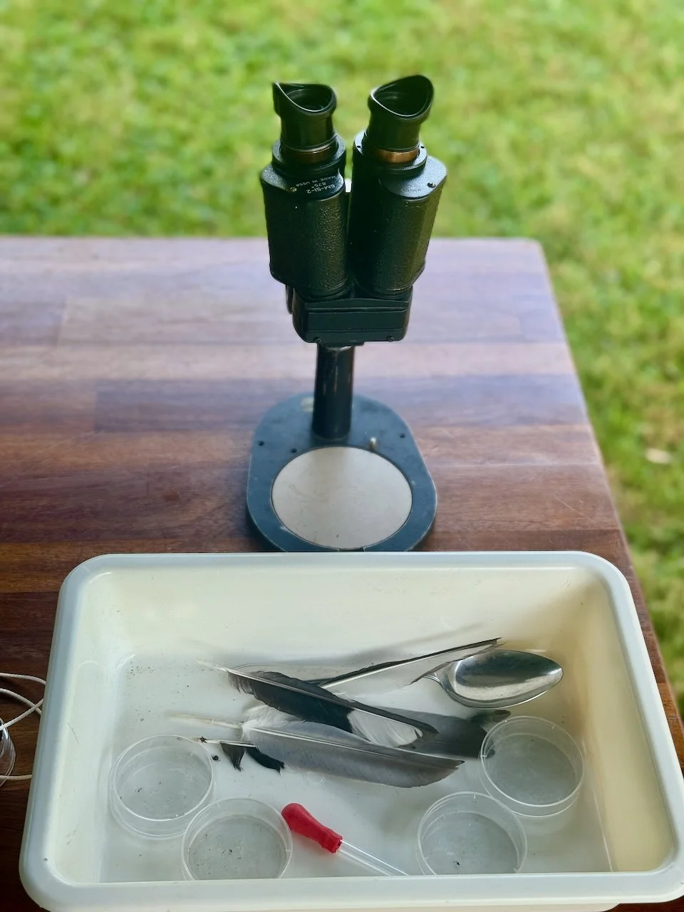 Jeugd Educatie - 2.jpeg