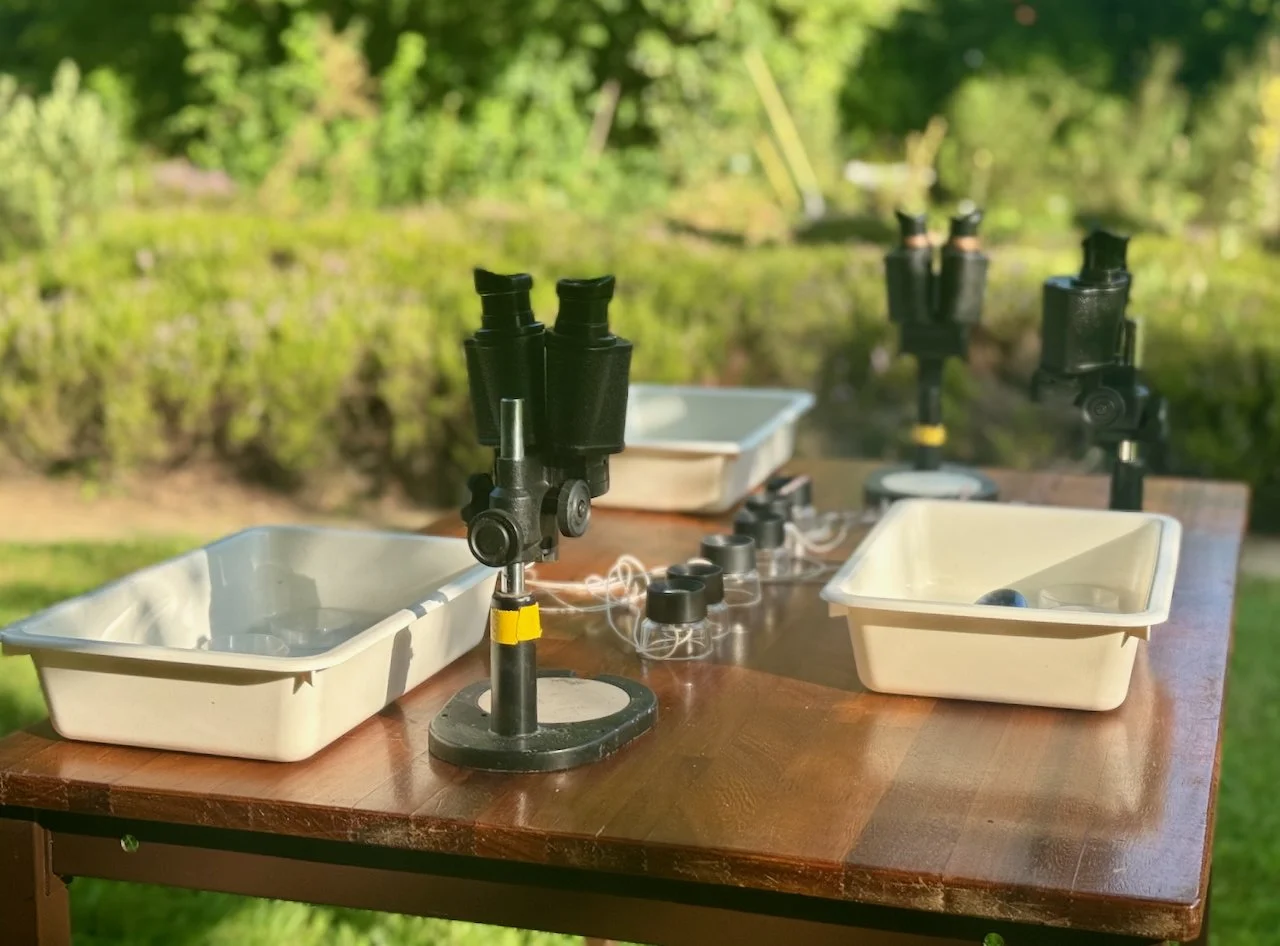 Jeugd Educatie - 1.jpeg