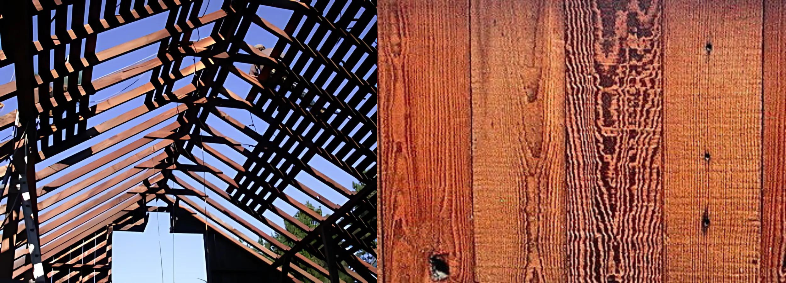 Old Growth Timbers