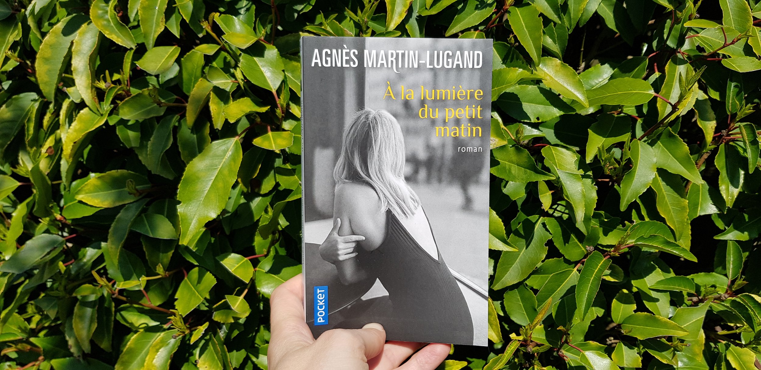 A la lumière du petit matin - Agnès Martin-Lugand