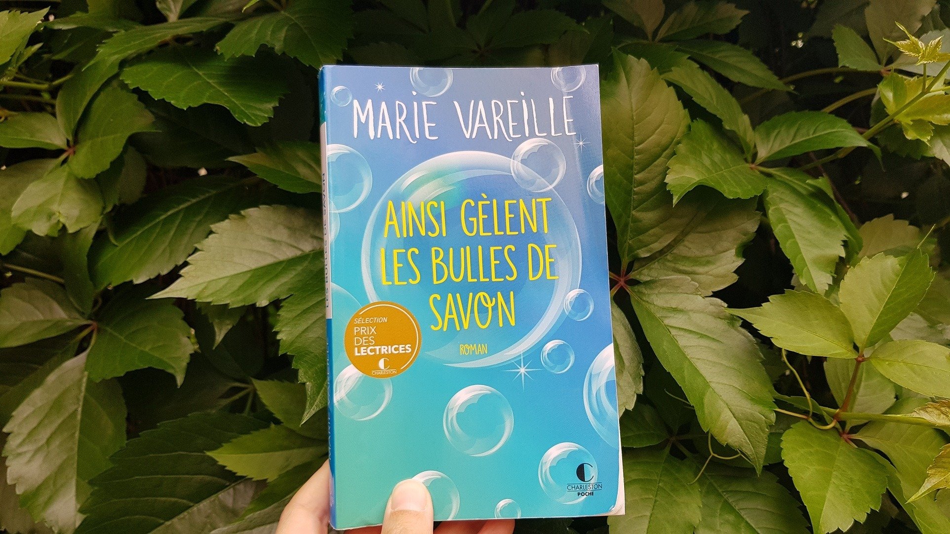 Ainsi gèlent les bulles de savon - Marie Vareille