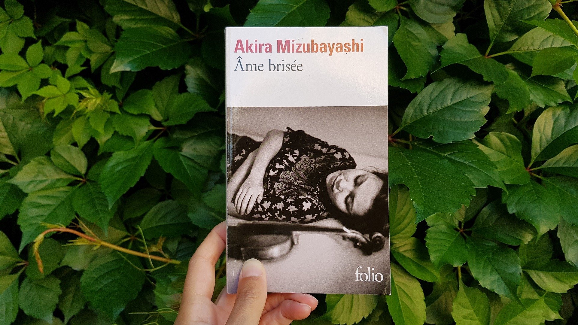 Ame brisée - Akira Mizubayashi