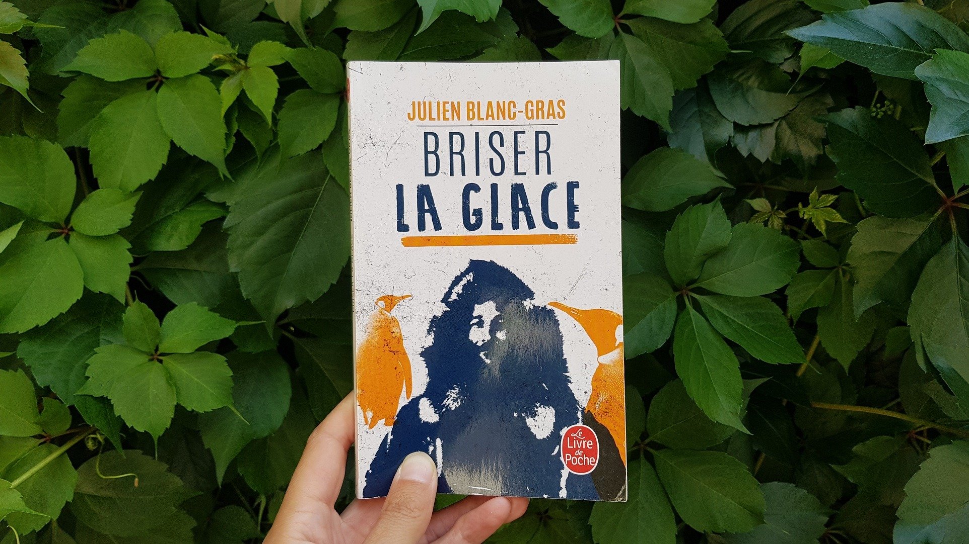 Briser la glace - Julien Blanc-Gras