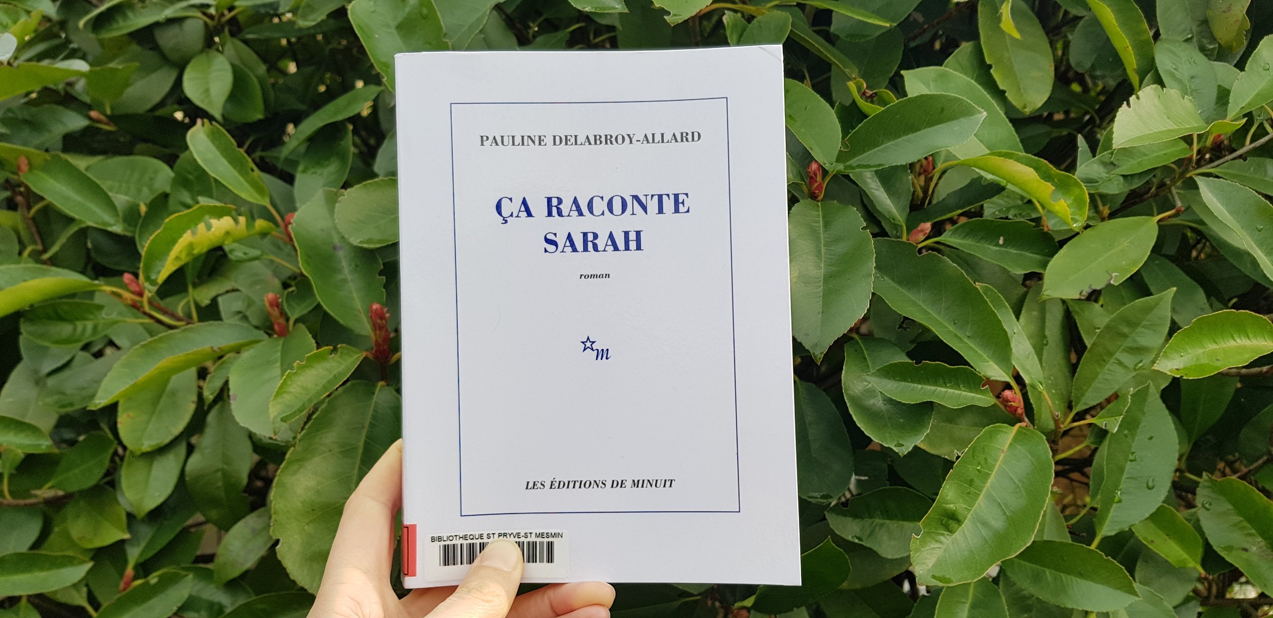 ça raconte Sarah de Pauline Delabroy-Allard