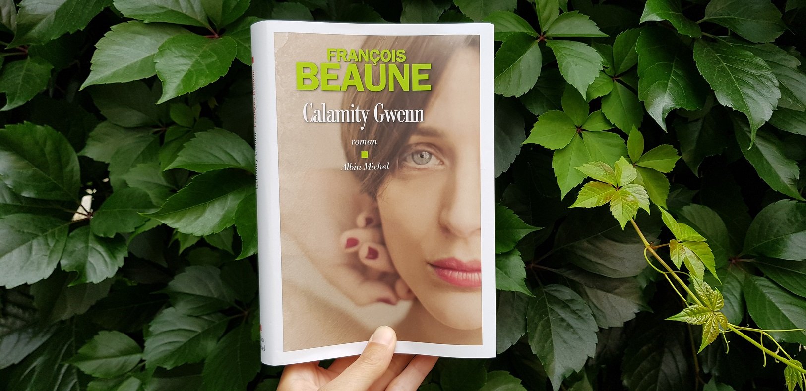 Calamity Gwenn - François Beaune