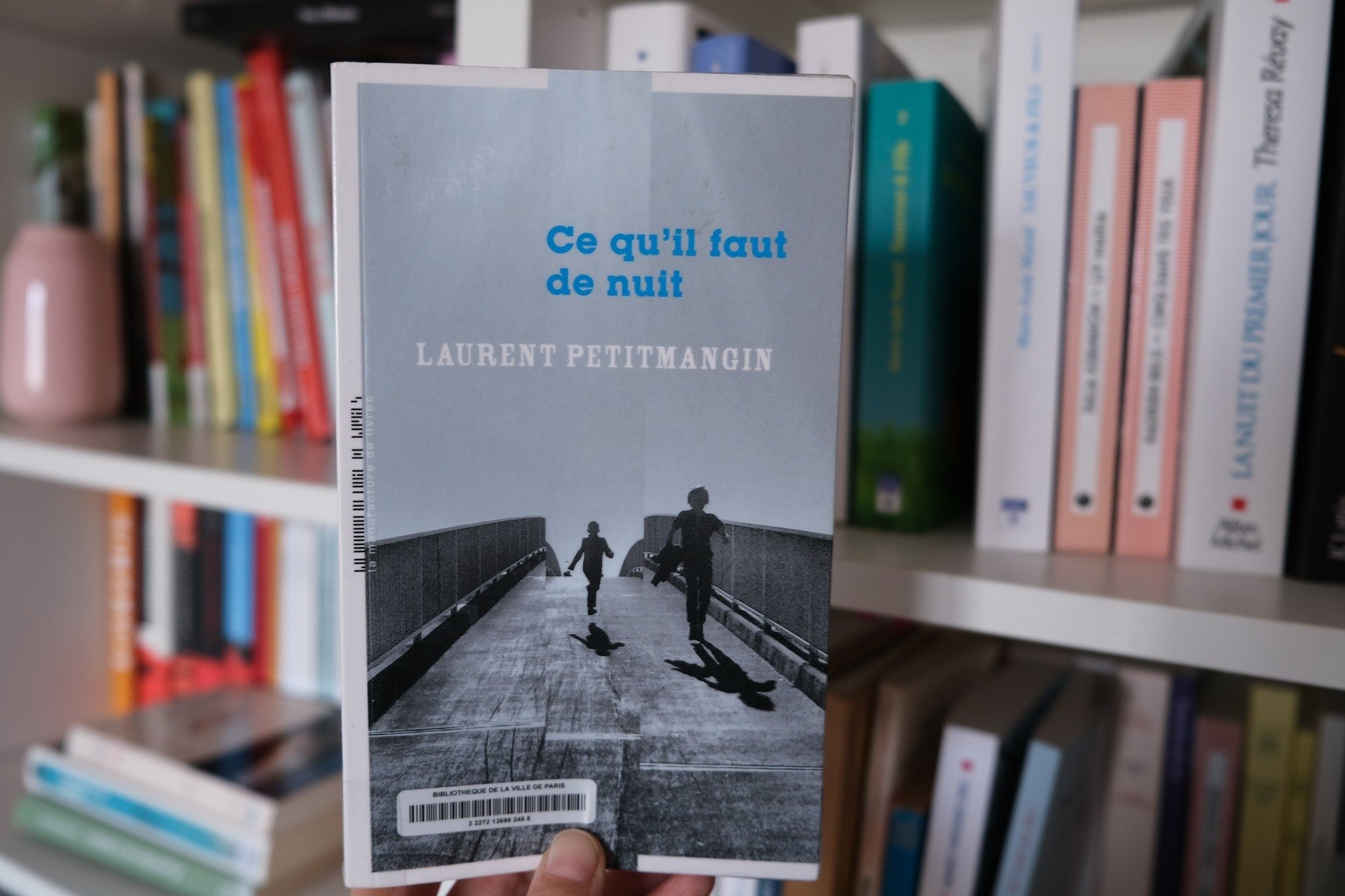Ce qu'il faut de nuit - Laurent Petitmangin