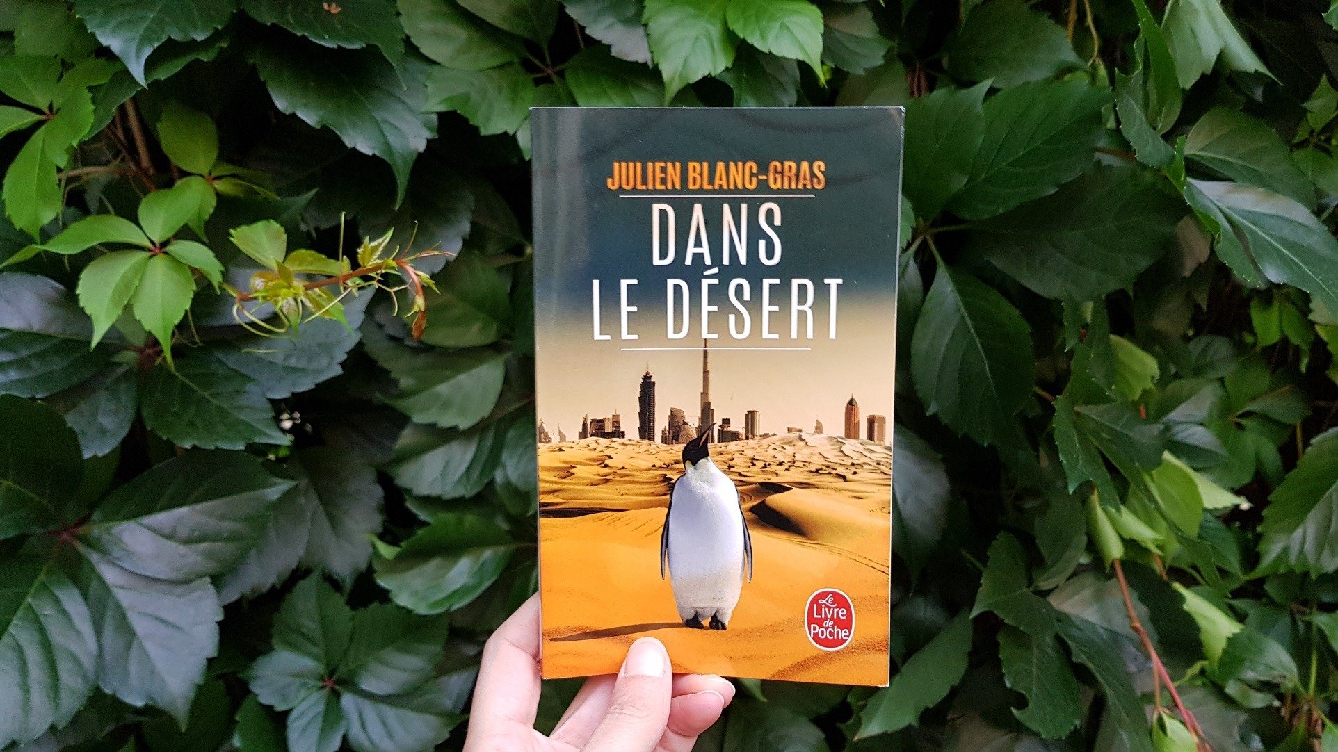 Dans le désert - Julien Blanc-Gras