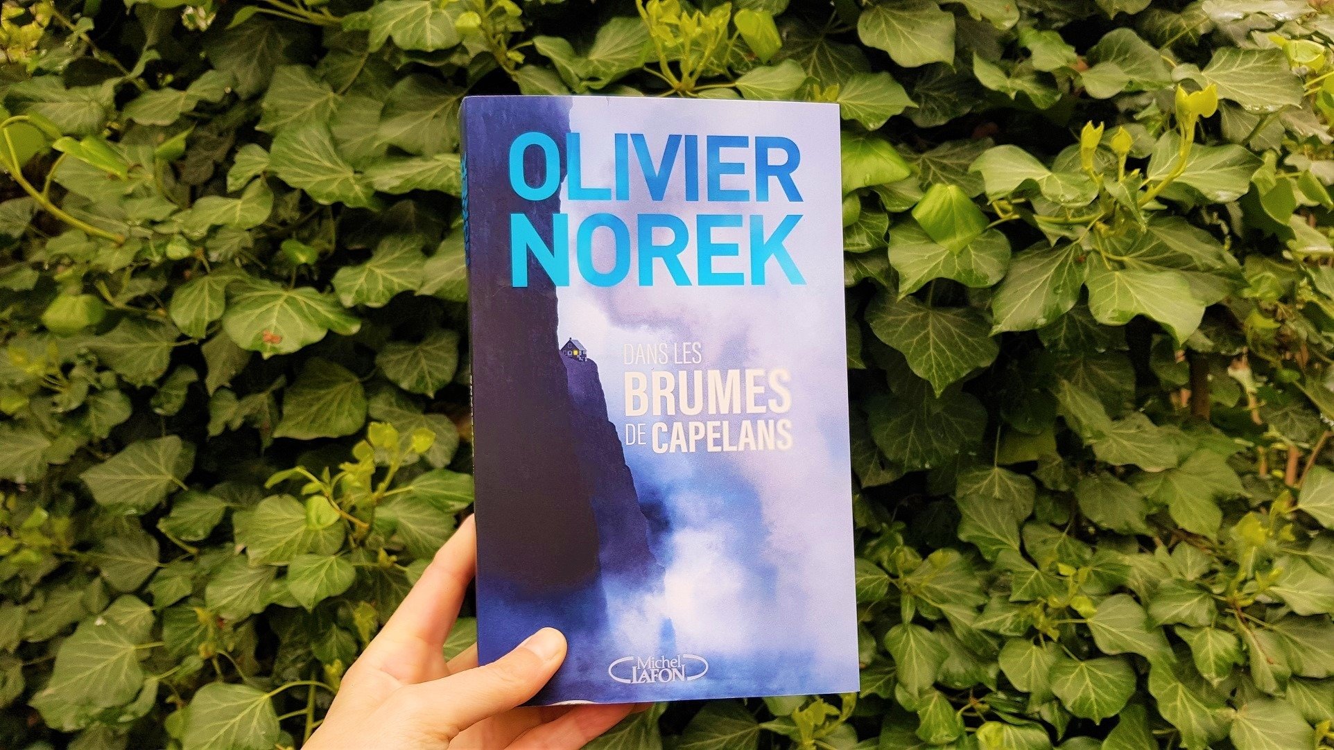 Dans les brumes de Capelans - Olivier Norek