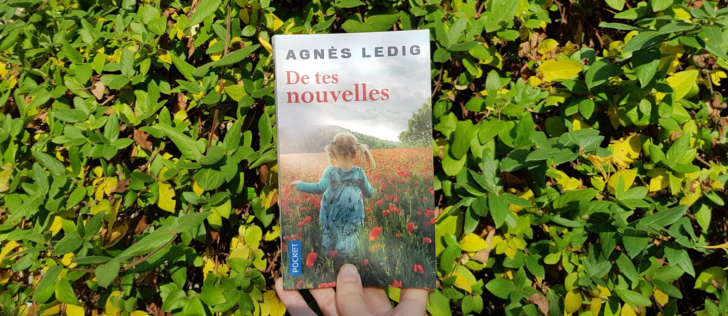 De tes nouvelles de Agnès Ledig