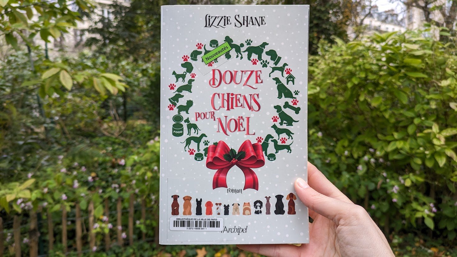 Douze chiens pour Noël - Lizzie Shane