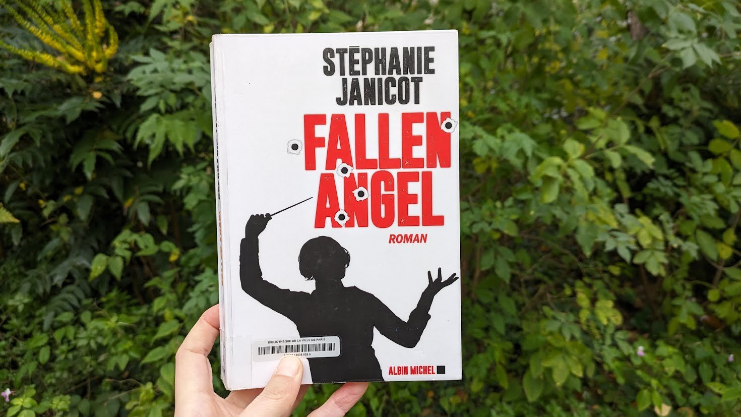 Fallen Angel - Stéphanie Janicot