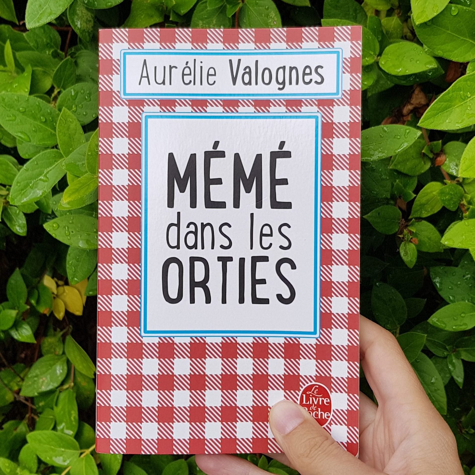Mémé dans les orties - Aurélie Valognes