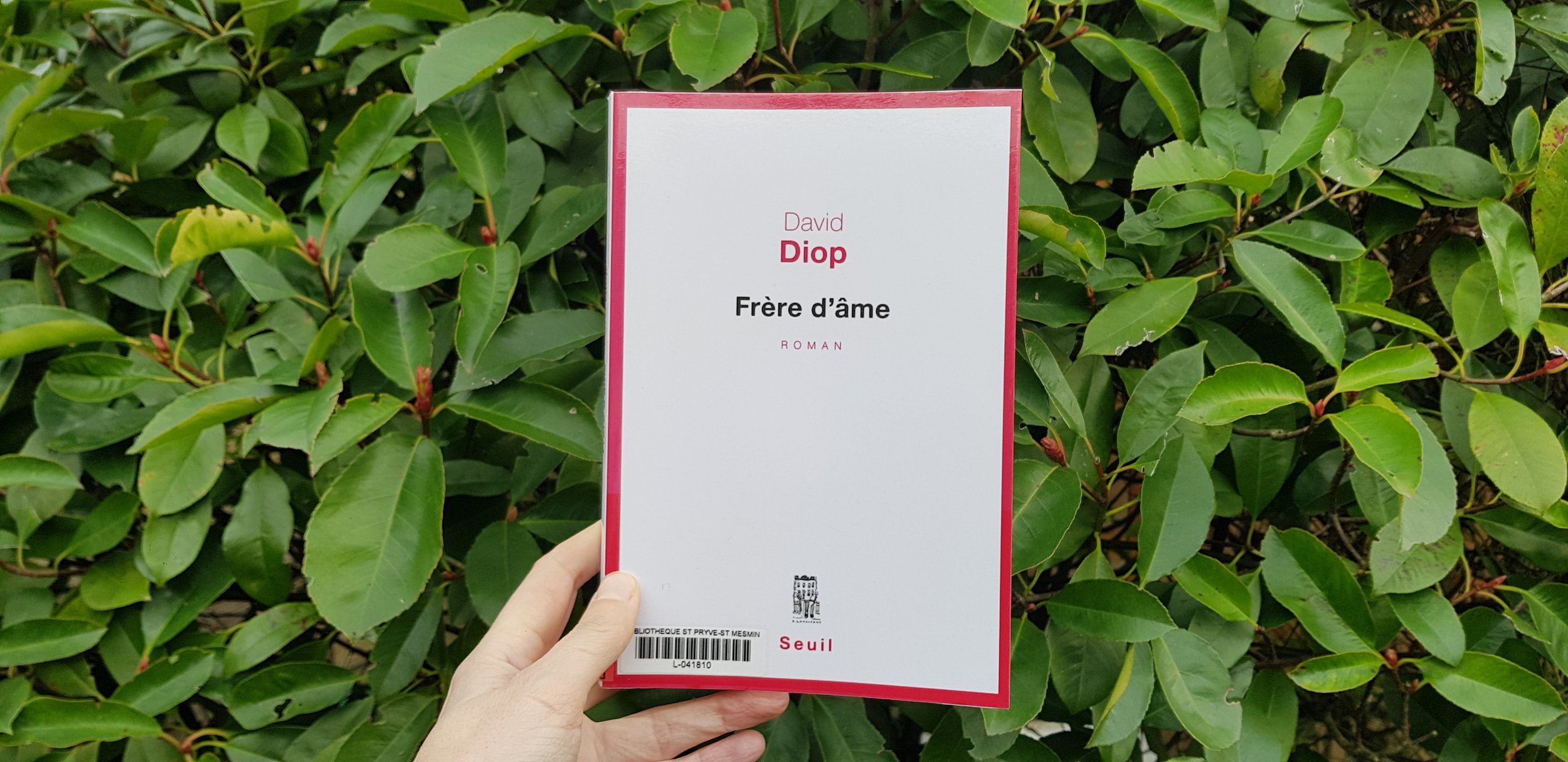 Frère d'âme de David Diop