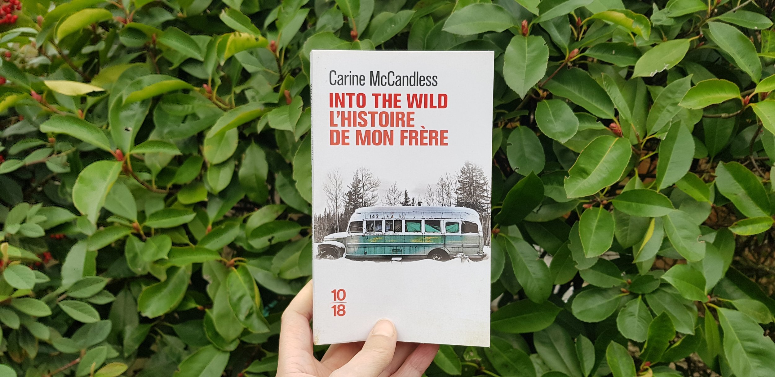Into the wild l'histoire de mon frère de Carine McCandless