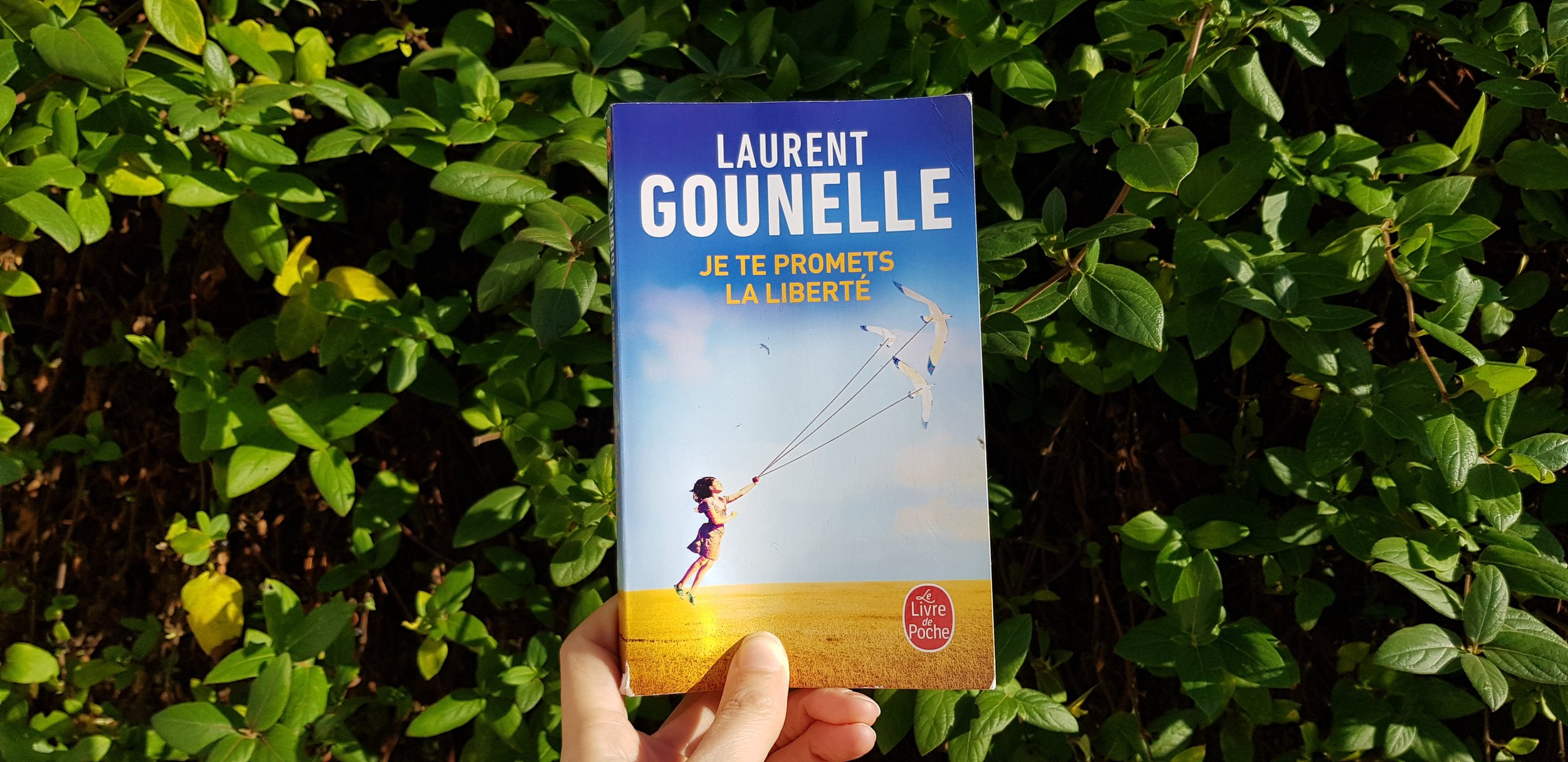 Je te promets la liberté de Laurent Gounelle