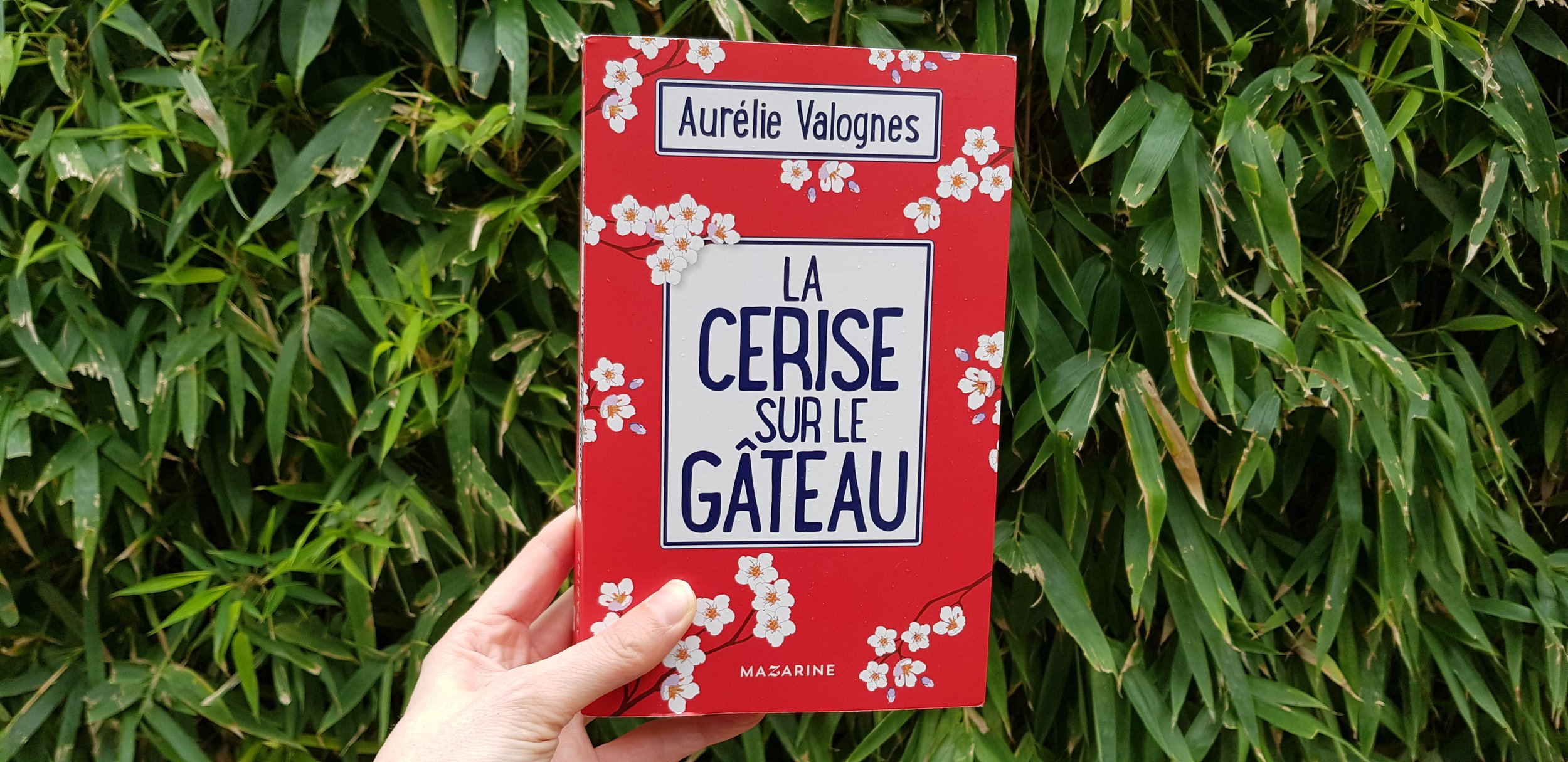 La cerise sur le gâteau - Aurélie Valognes