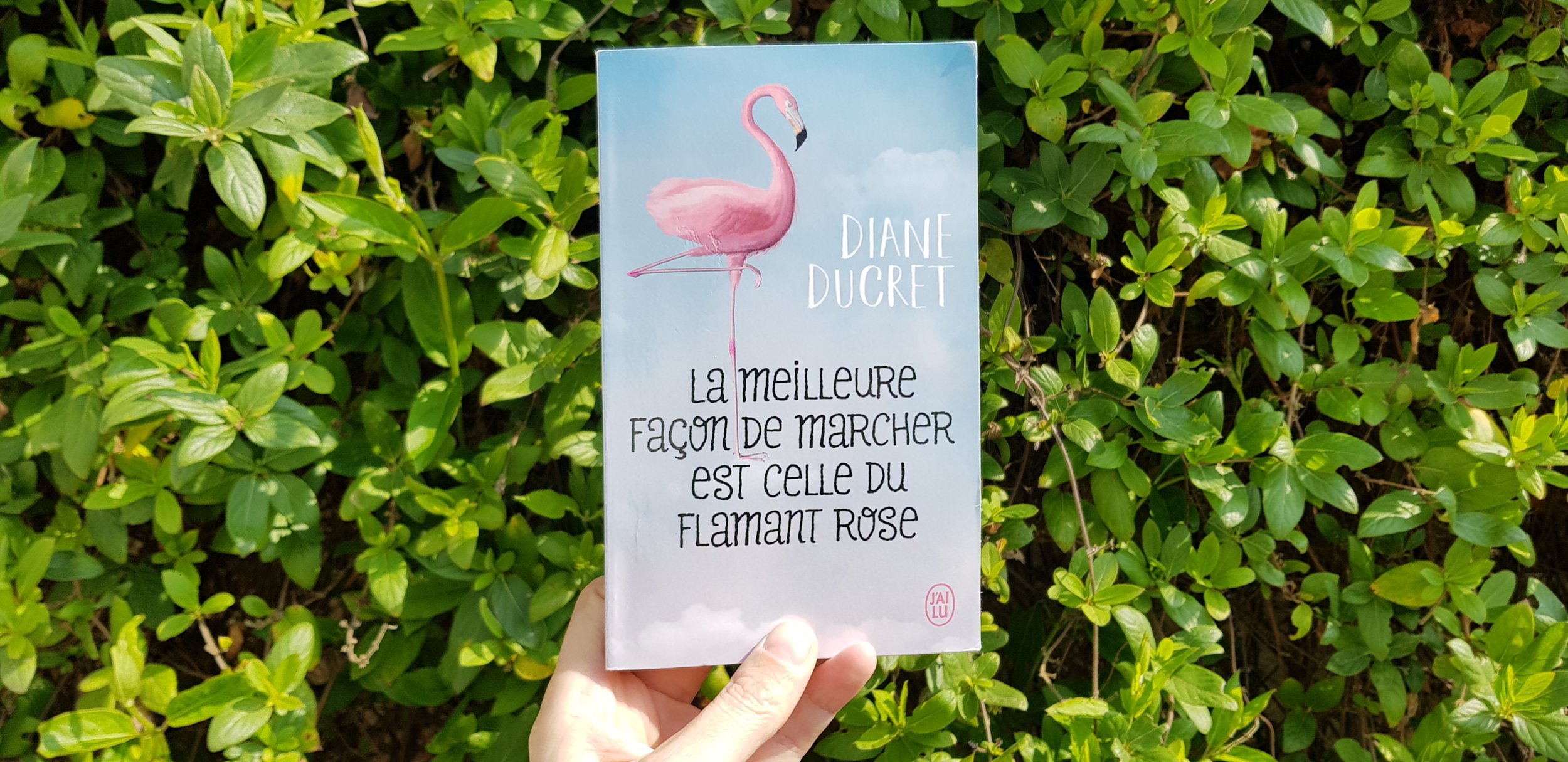 La meilleure façon de marcher est celle du flamant rose de Diane Ducret