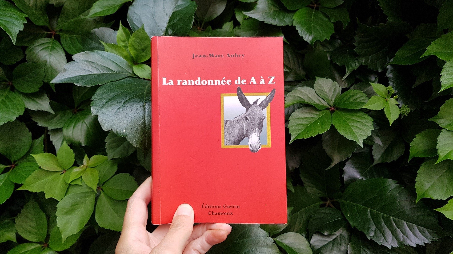 La randonnée de A à Z - Jean-Marc Aubry