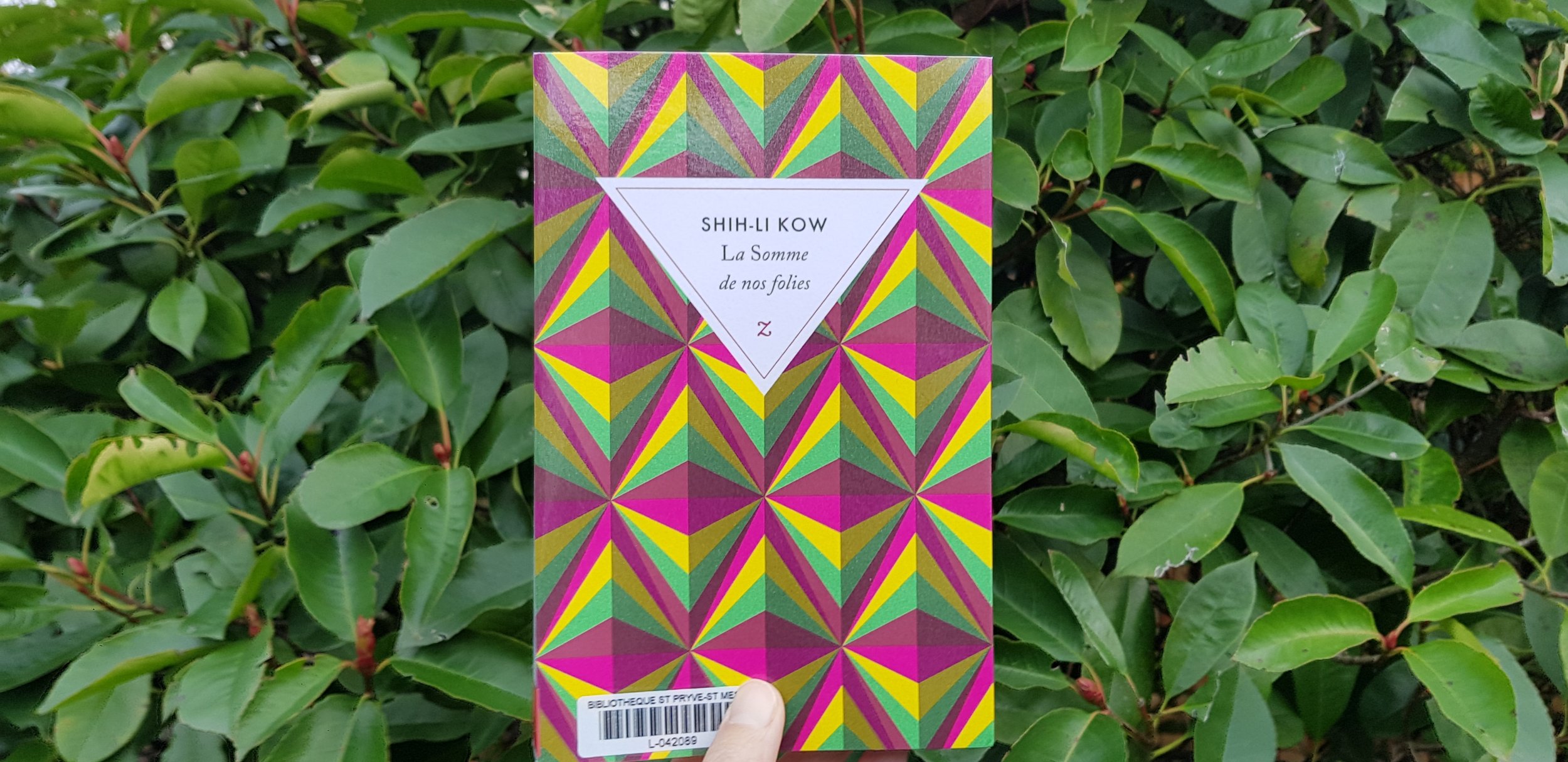 La somme de nos folies de Shih-Li Kow