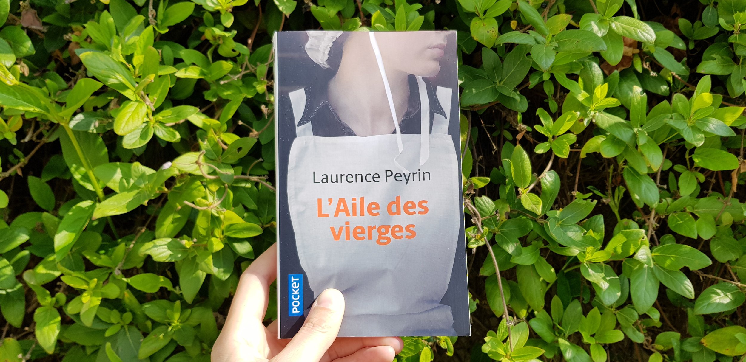 L'Aile des vierges de Laurence Peyrin