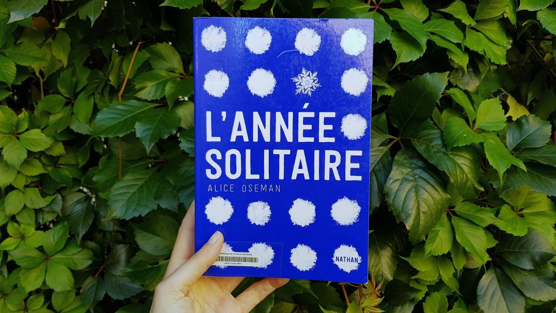 L'année solitaire - Alice Oseman
