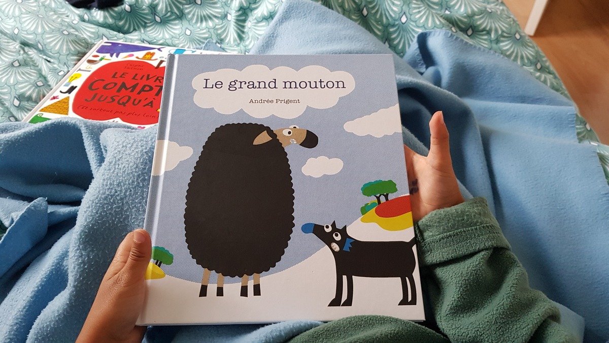 Le grand mouton - Andrée Prigent
