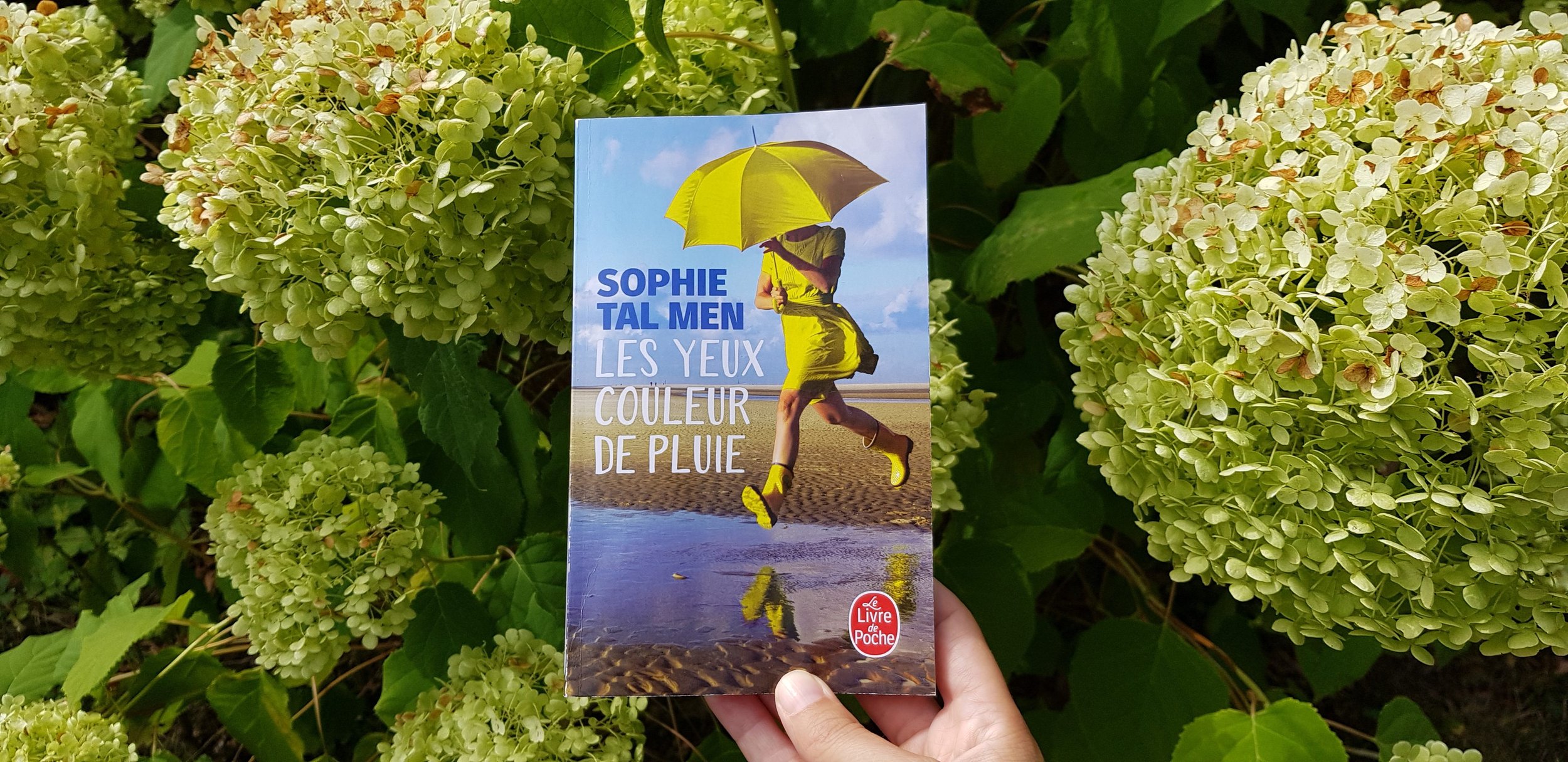 Les yeux couleur de pluie de Sophie Tal Men