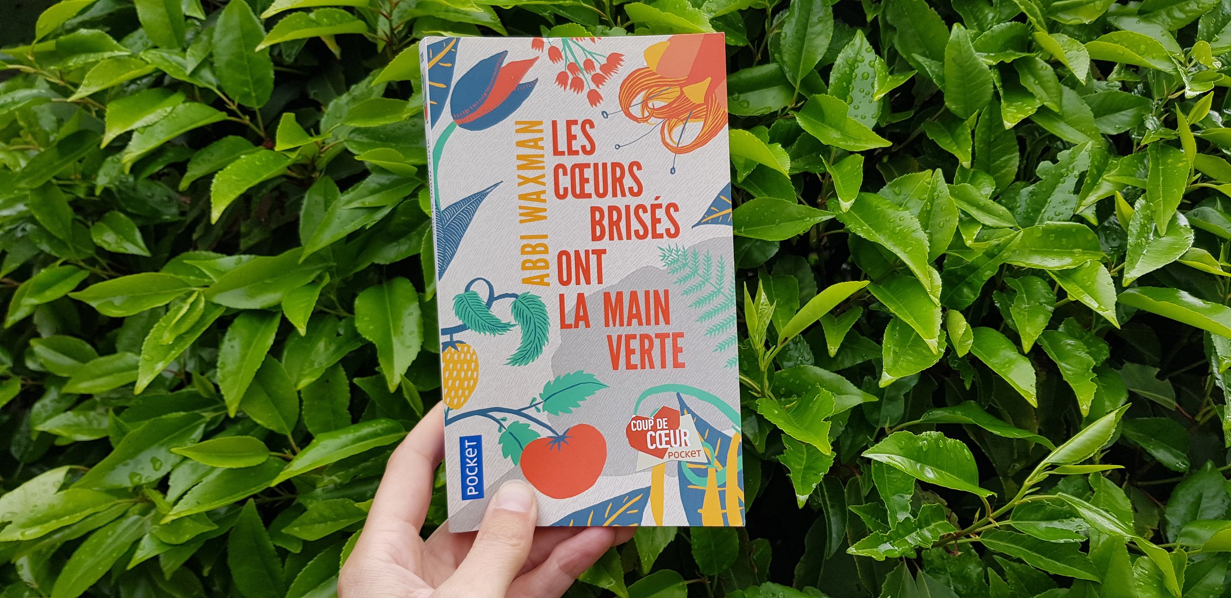 Les coeurs brisés ont la main verte d'Abbi Waxman