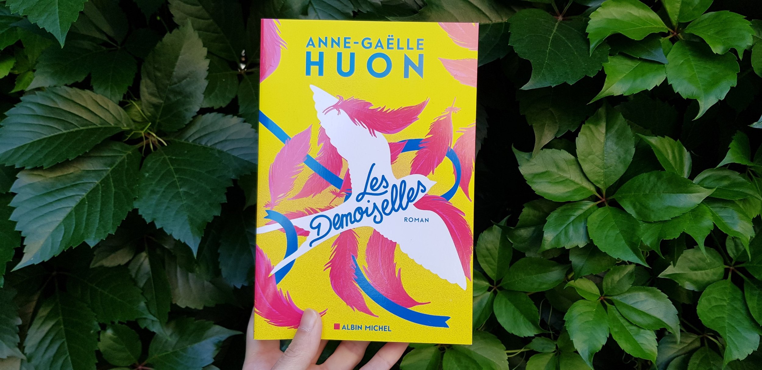 Les Demoiselles d'Anne-Gaëlle Huon