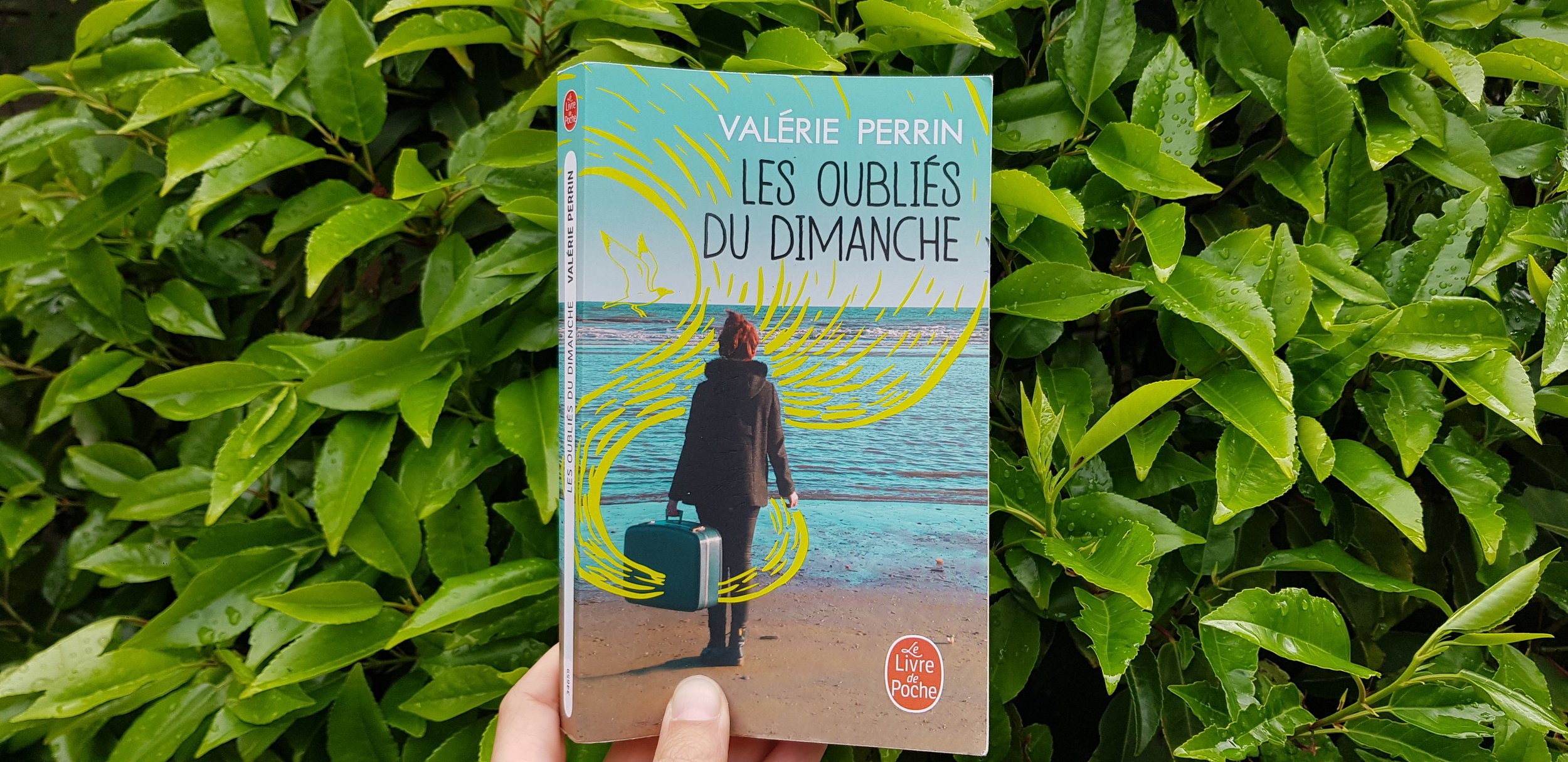 Les oubliés du dimanche de Valérie Perrin