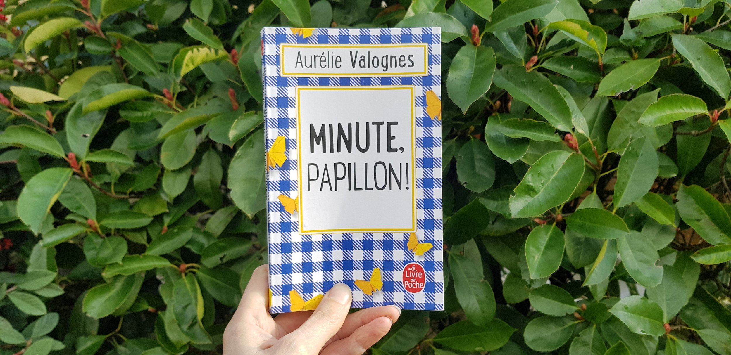 Minute papillon ! - Aurélie Valognes