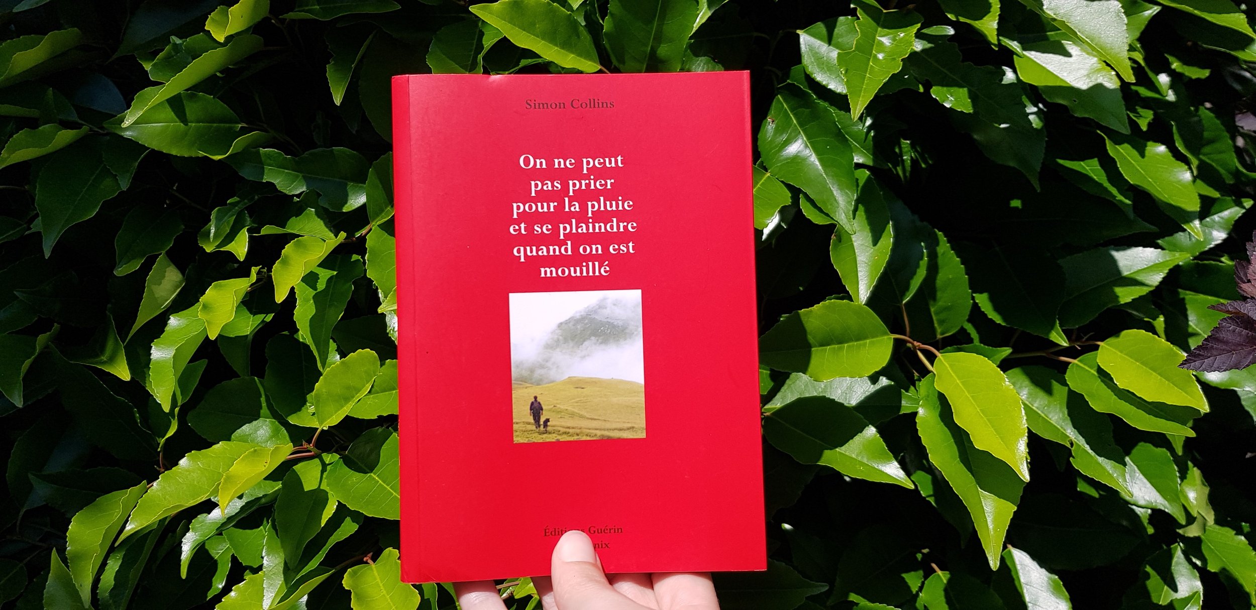 On ne peut pas prier pour la pluie et se plaindre quand on est mouillé de Simon Collins