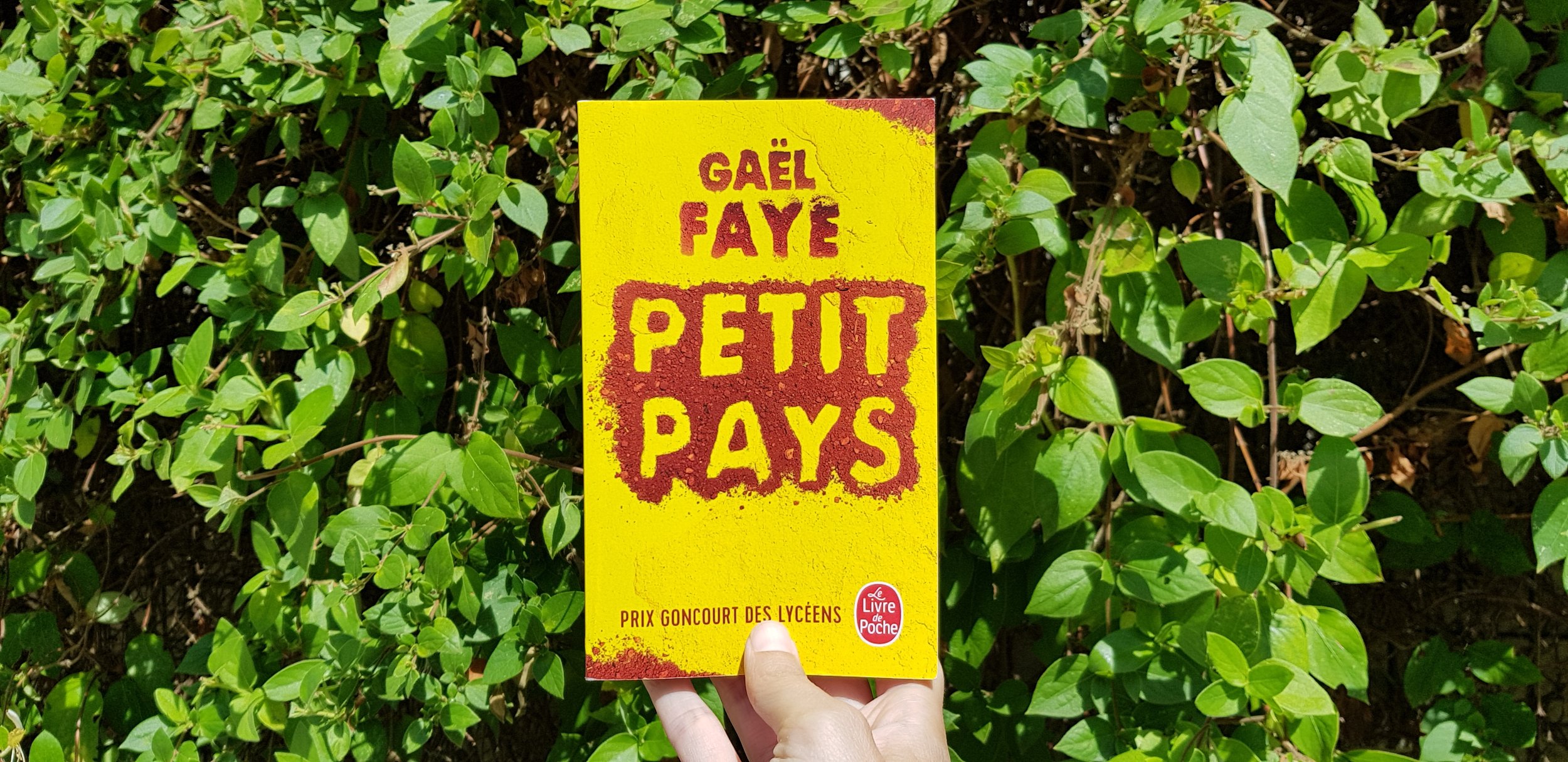 Petit Pays de Gaël Faye