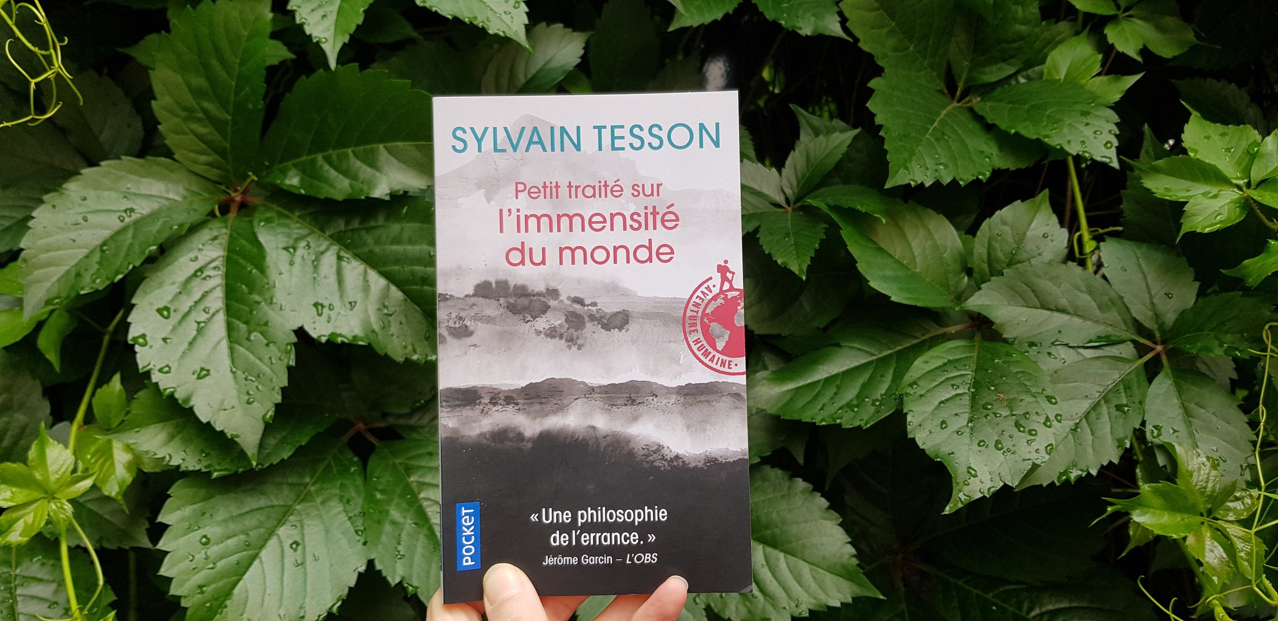 Petit traité à l'immensité du monde - Sylvain Tesson
