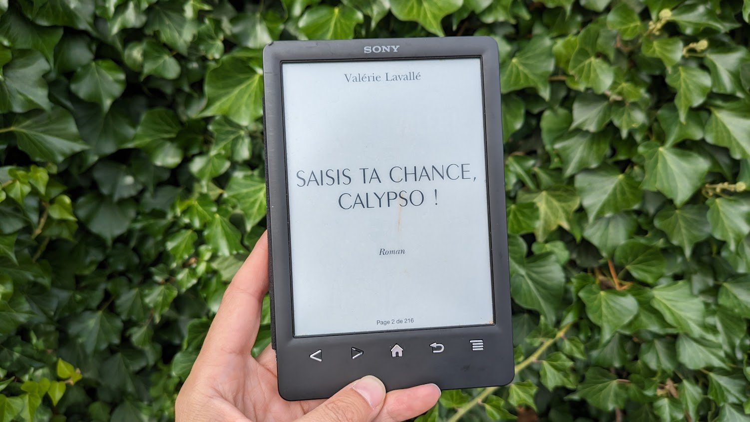 Saisis ta chance, Calypso ! Valérie Lavallé